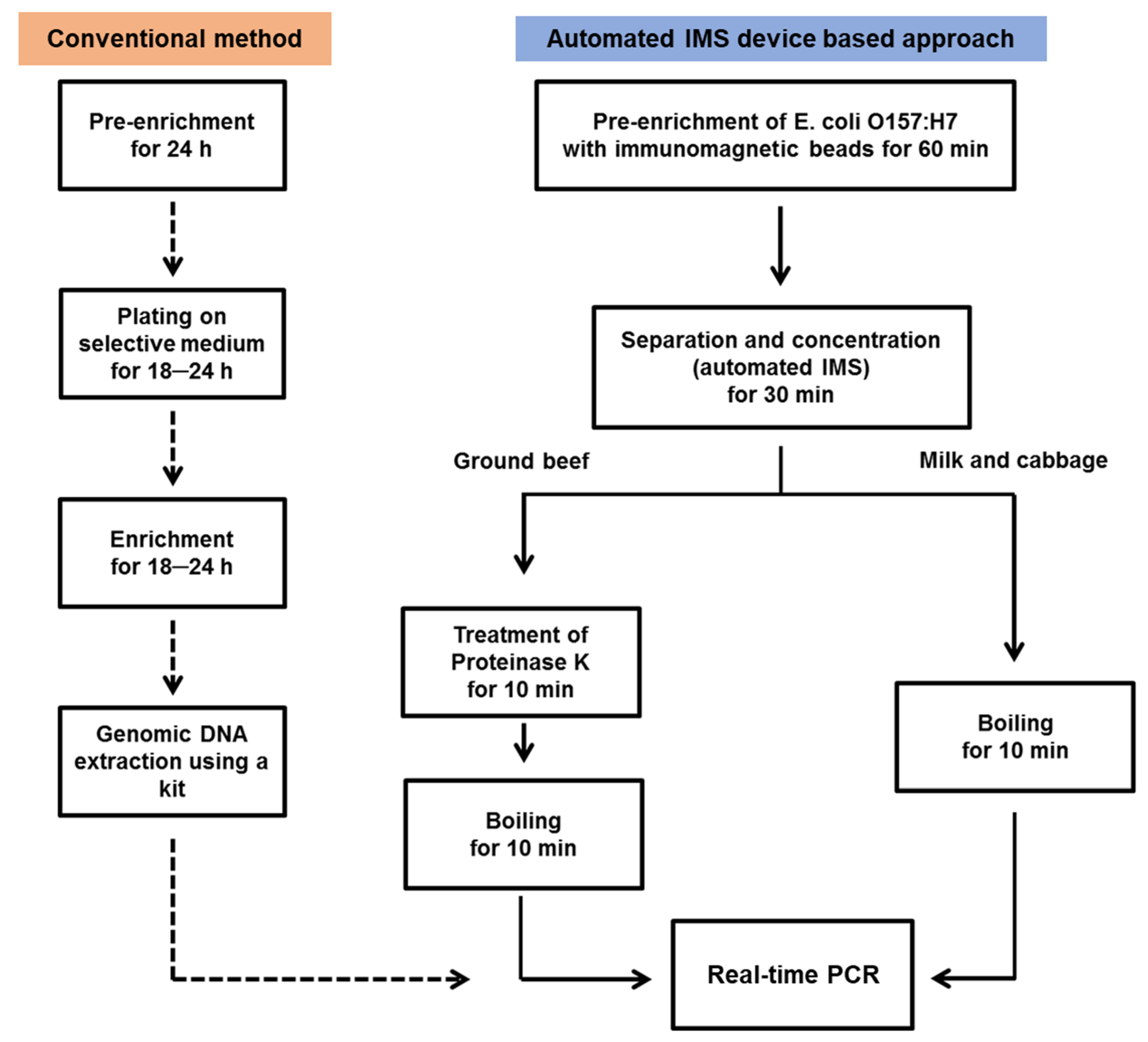 Processes Free FullText Detection of E. coli O157H7 in Food Using