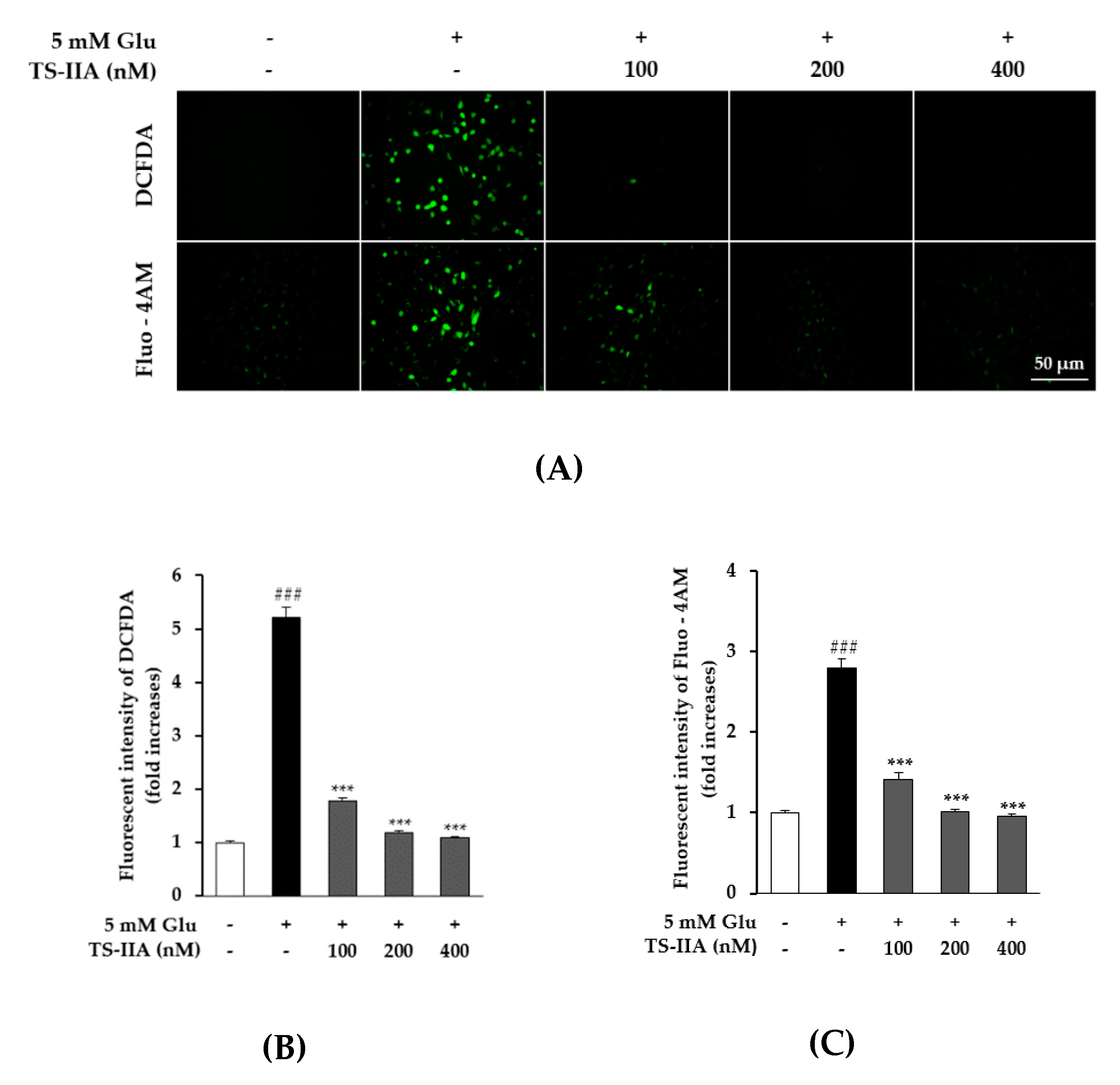 Processes 08 00914 g003