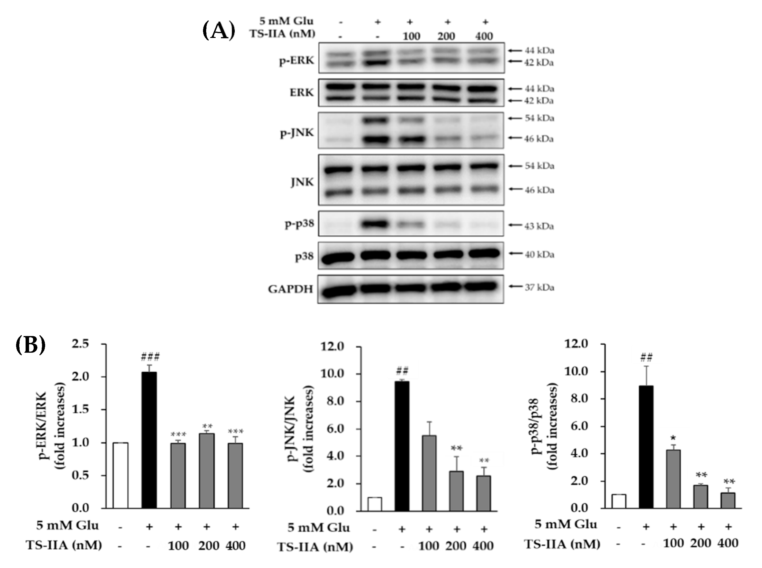 Processes 08 00914 g004