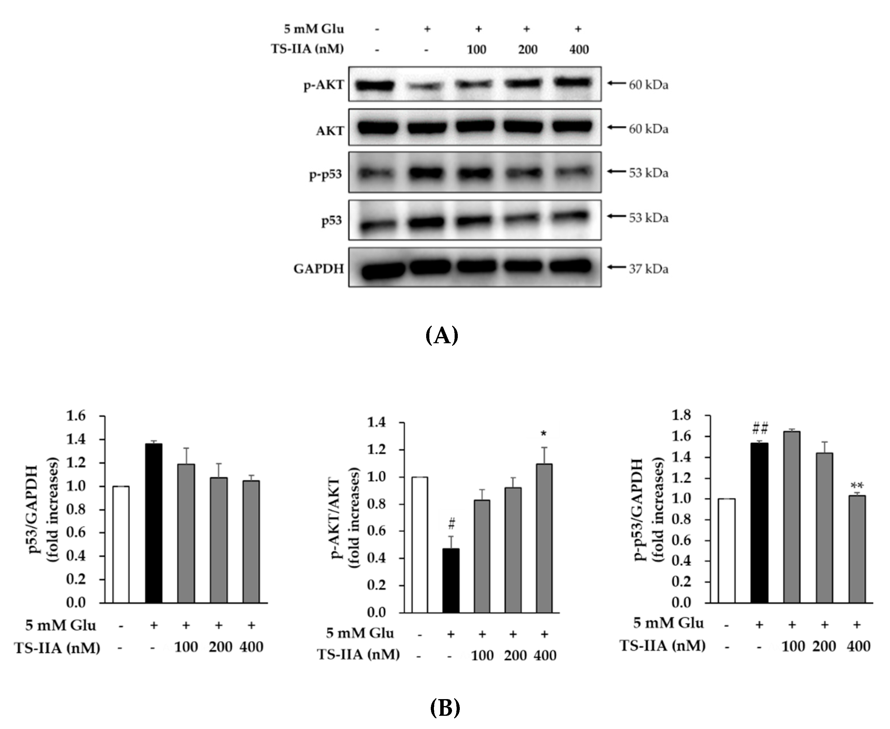 Processes 08 00914 g005