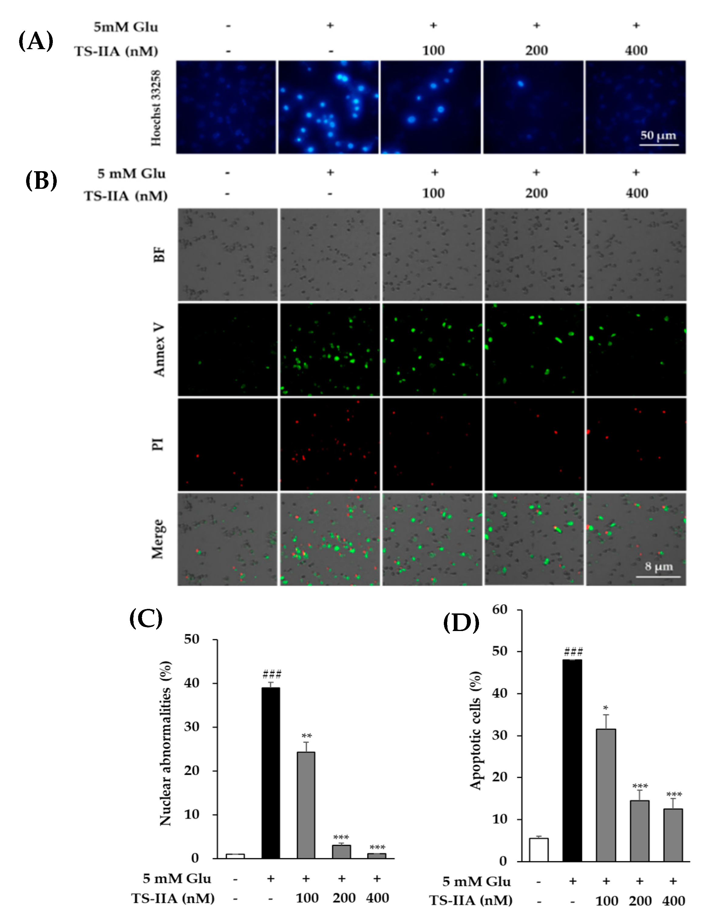 Processes 08 00914 g006