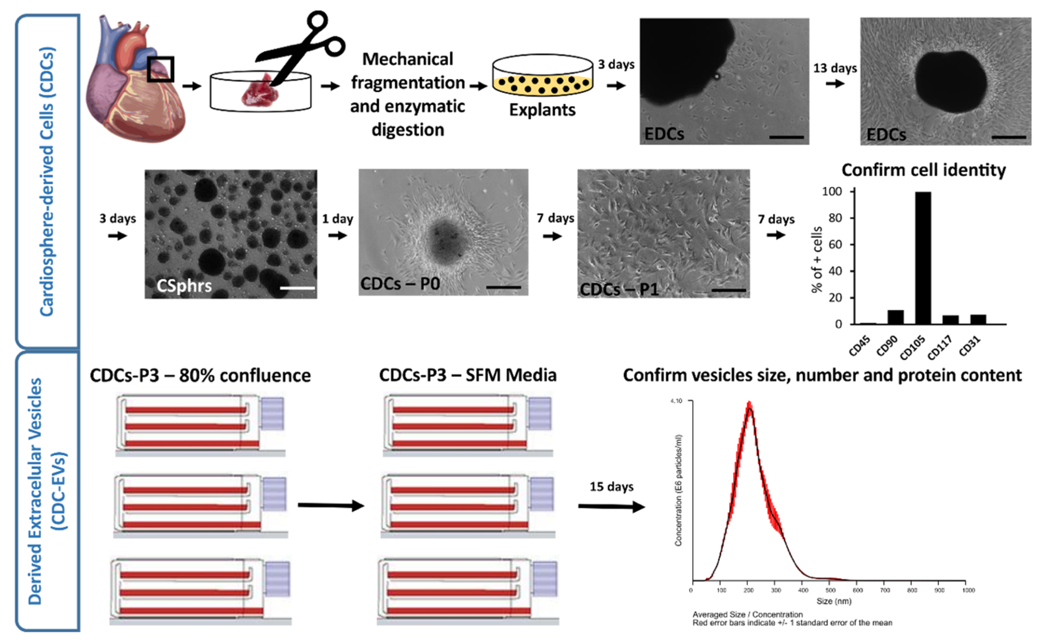 Processes 08 00924 g001 Processes 08 00924 g001
