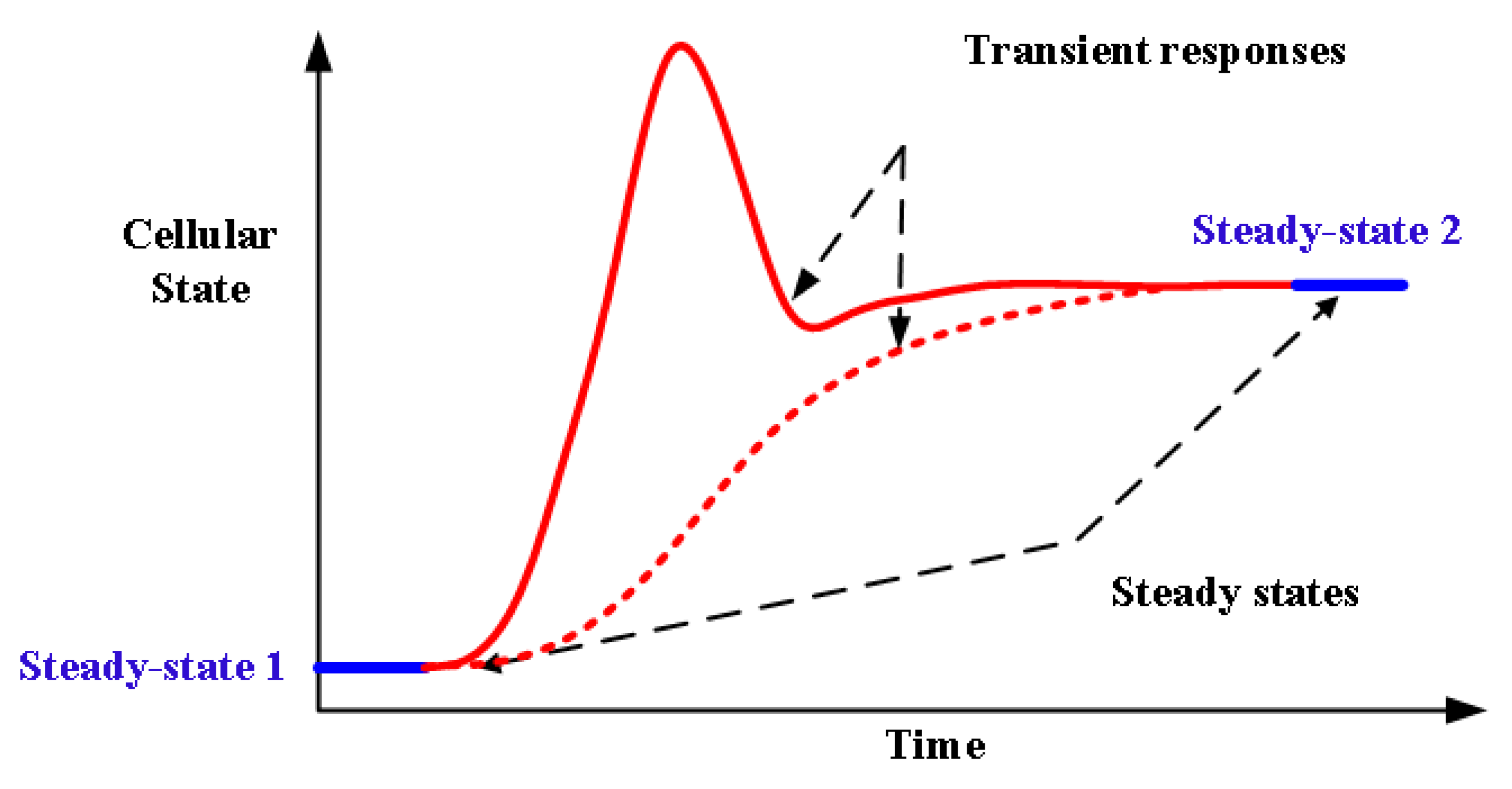 Processes 08 00951 g003