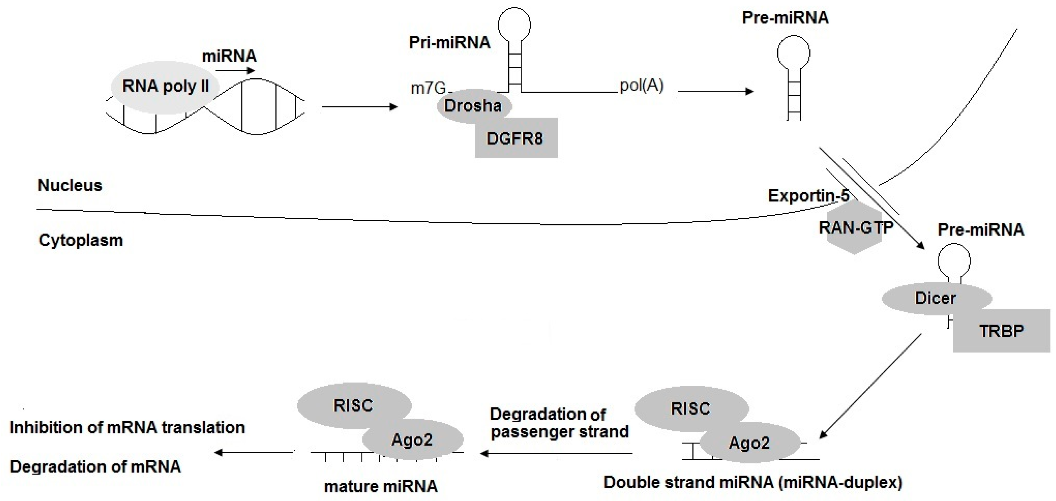 Processes 08 00966 g002