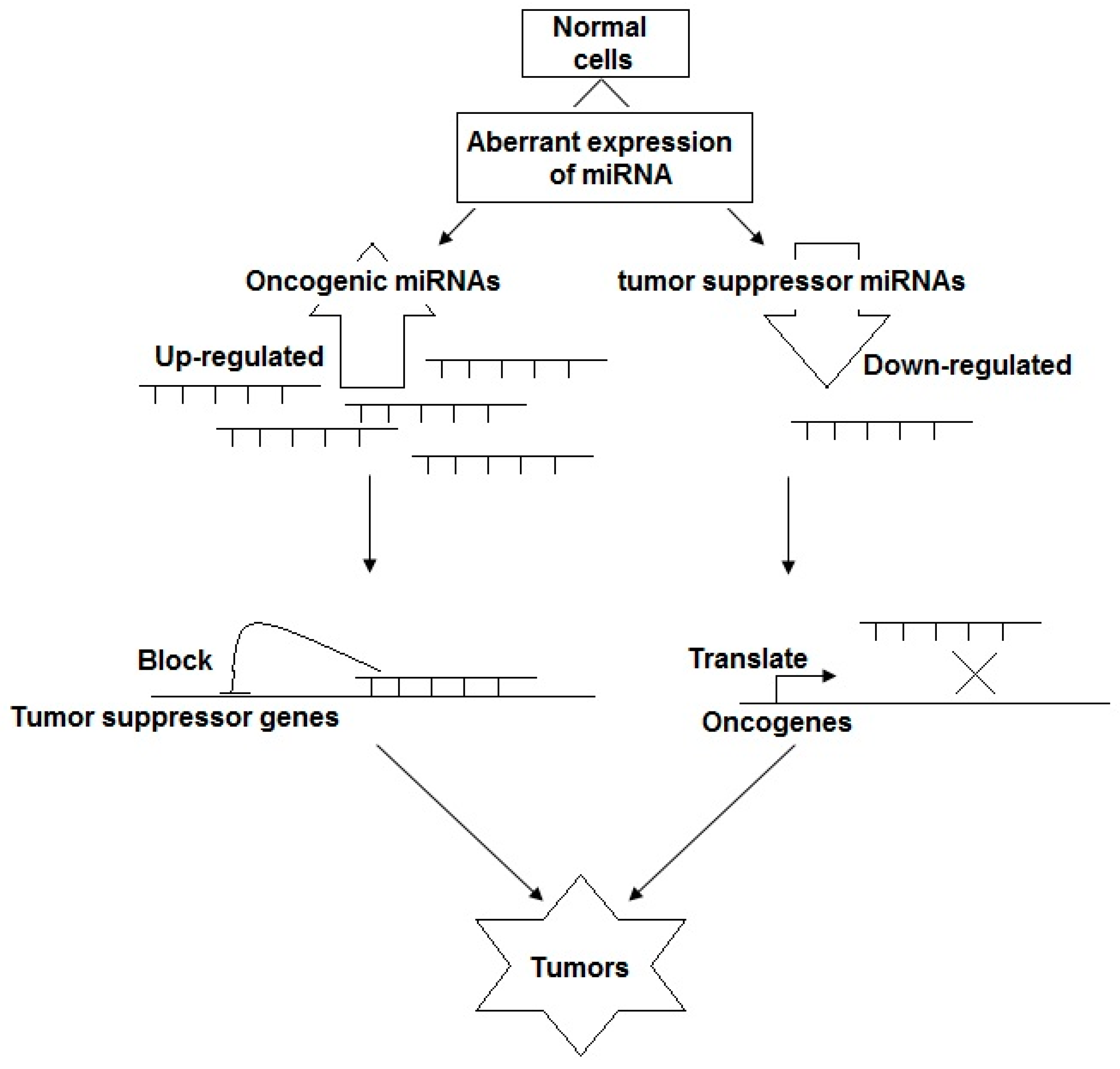 Processes 08 00966 g004