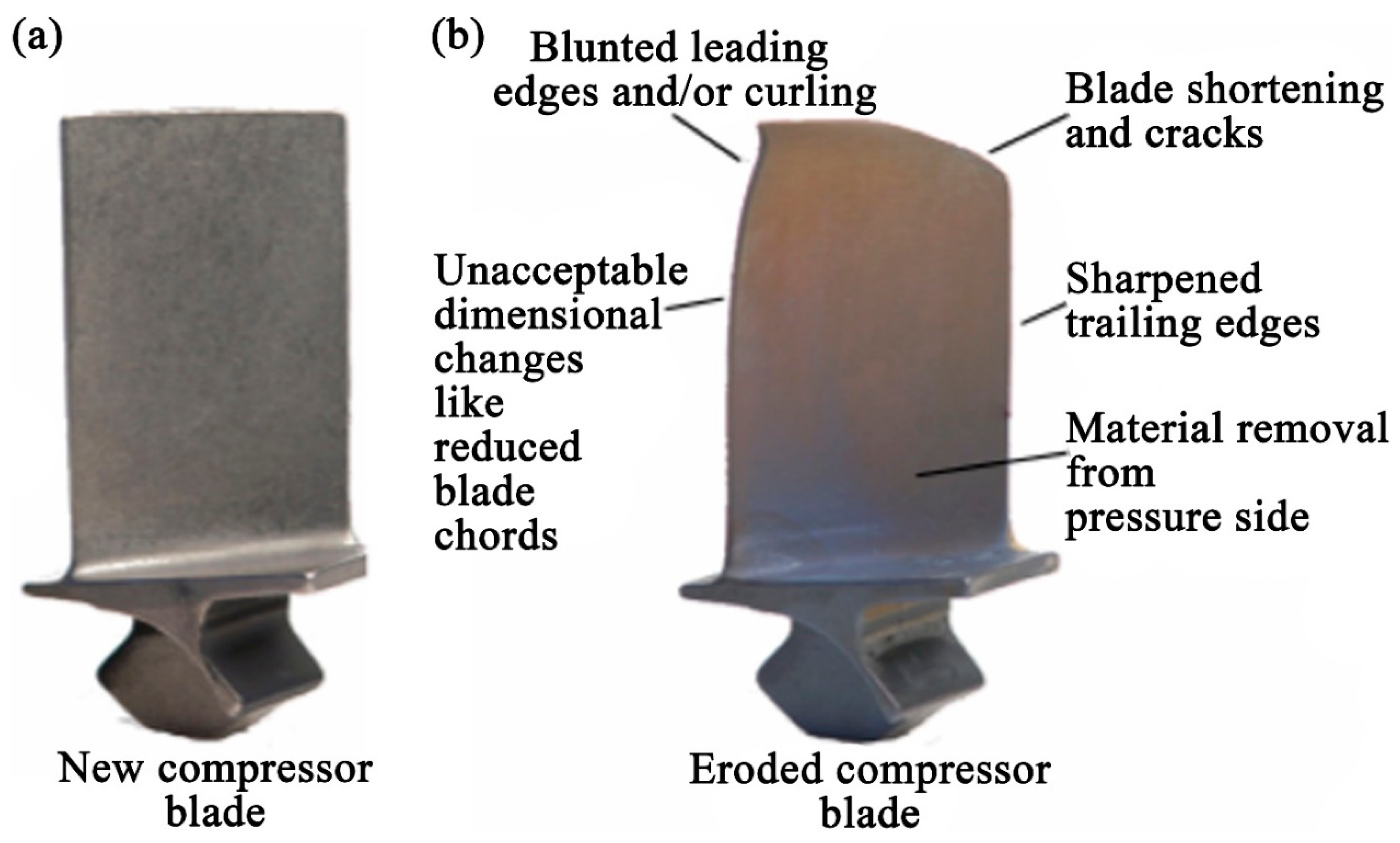 Processes 08 00984 g006