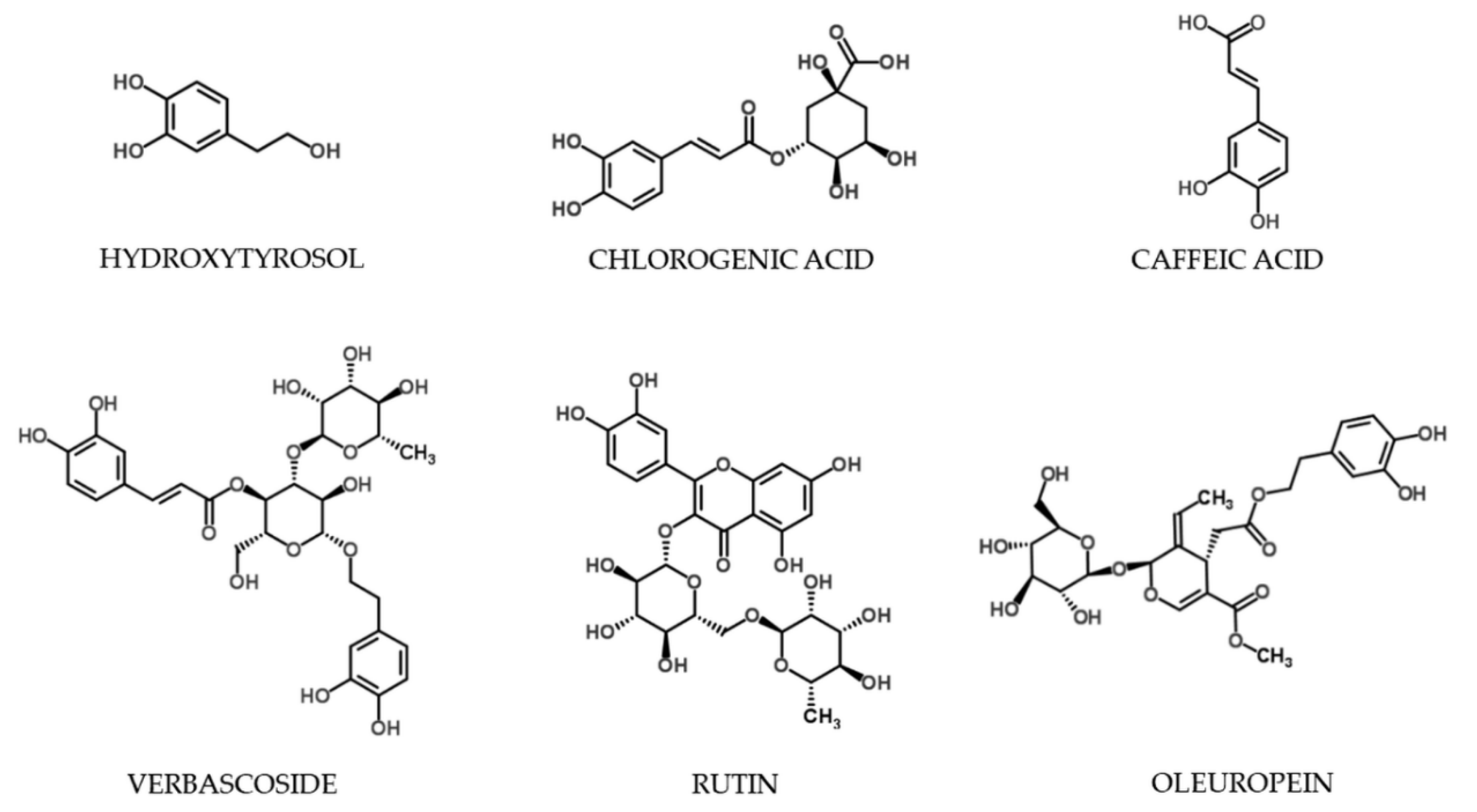 Processes 08 01008 g002