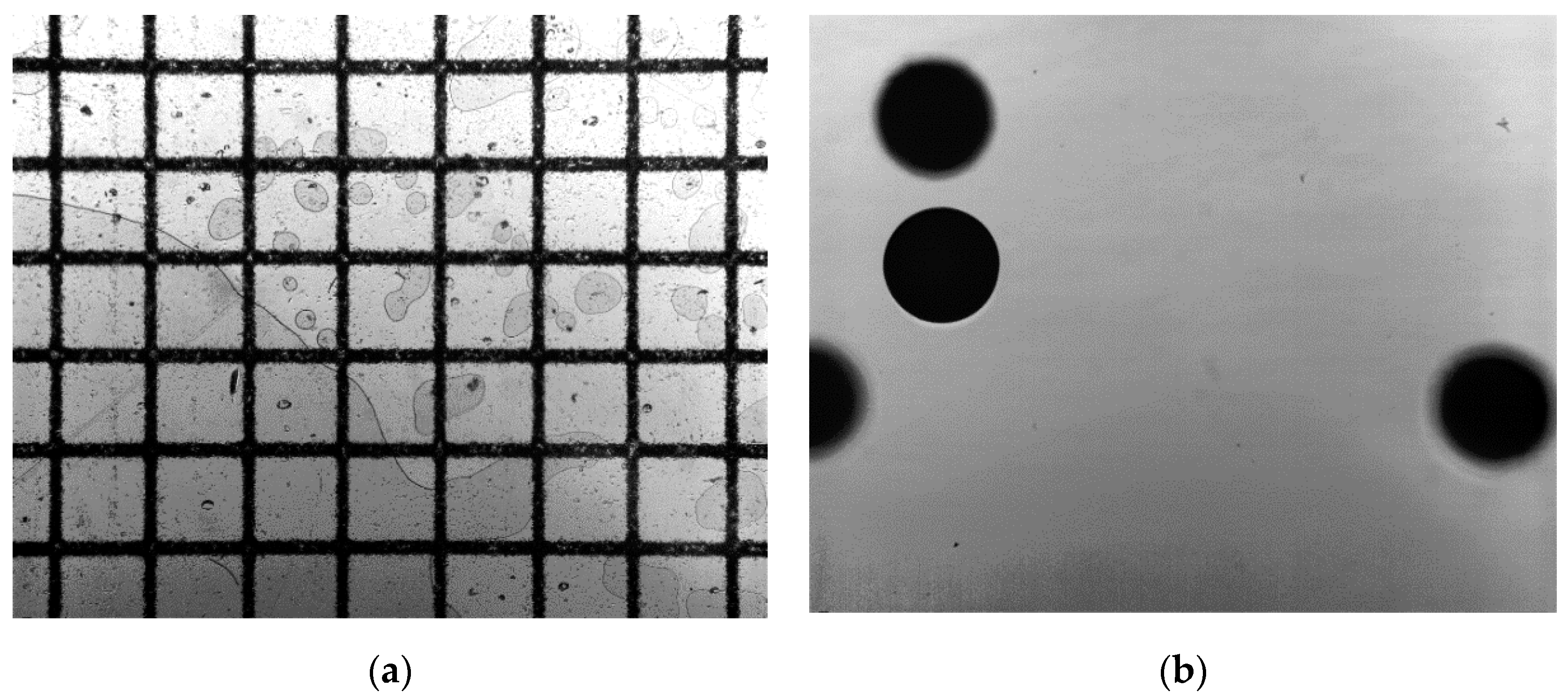 Processes 08 01012 g002 Processes 08 01012 g002