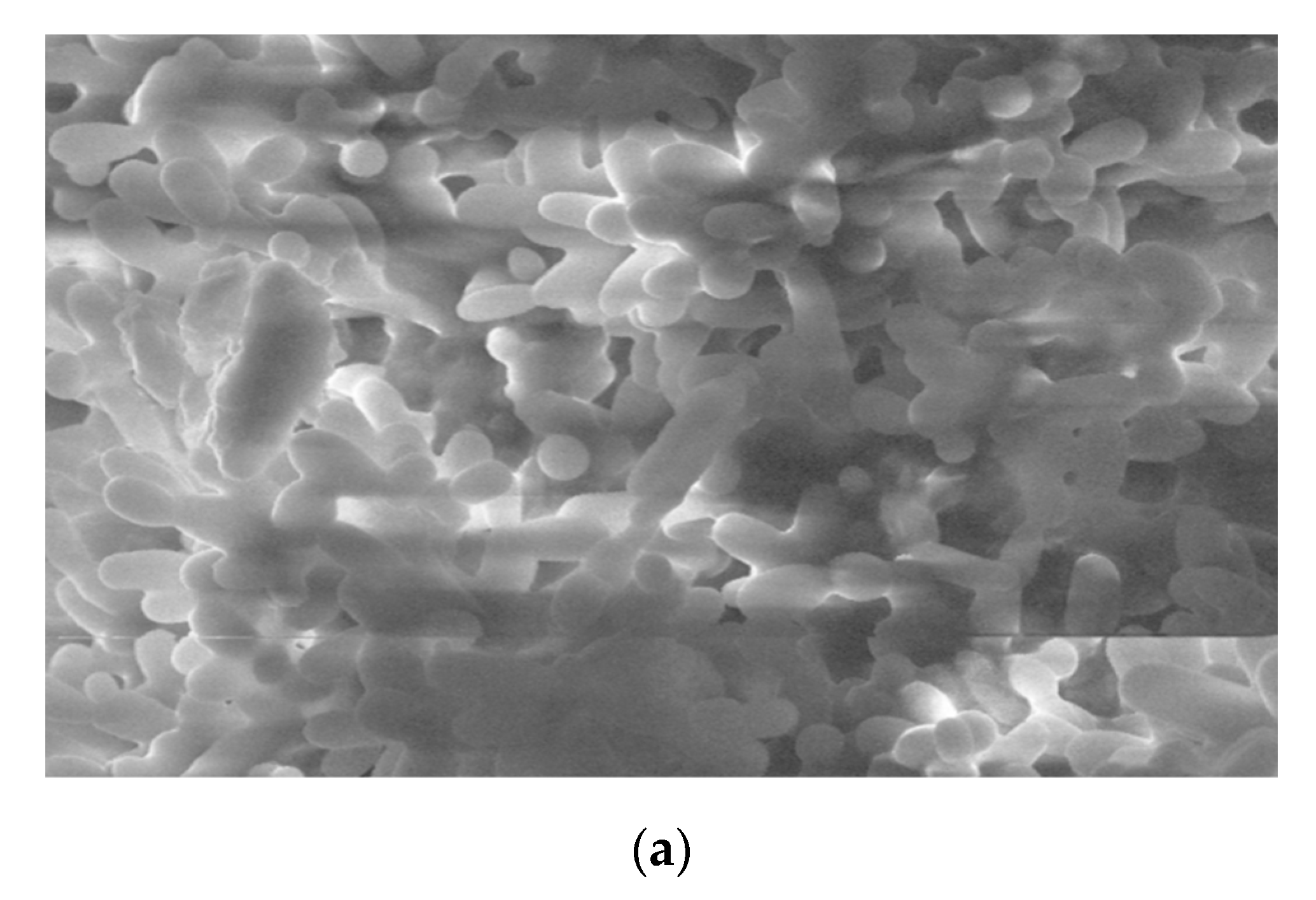 Processes 08 01018 g007a Processes 08 01018 g007a