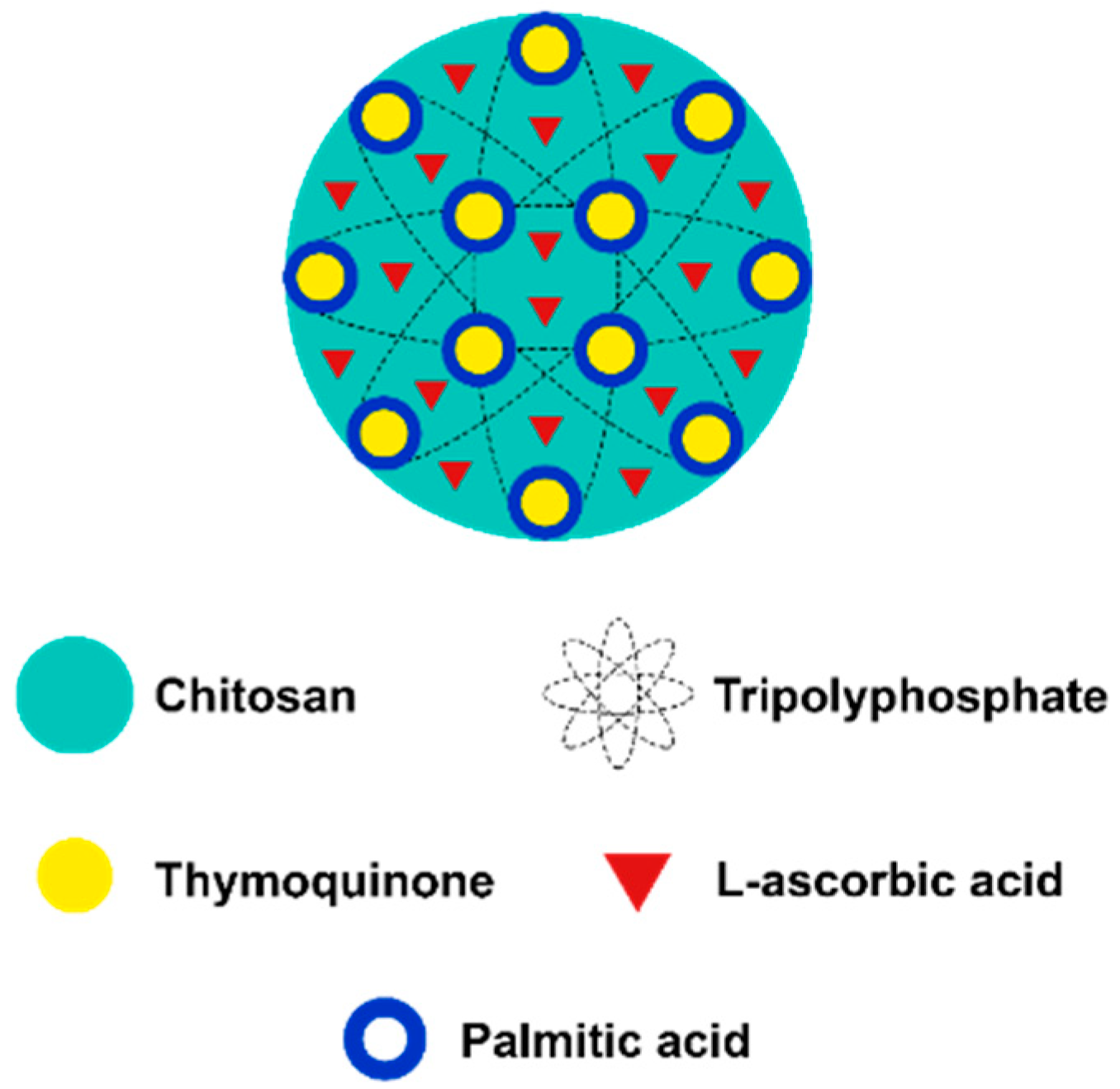 Processes 08 01040 g001 Processes 08 01040 g001