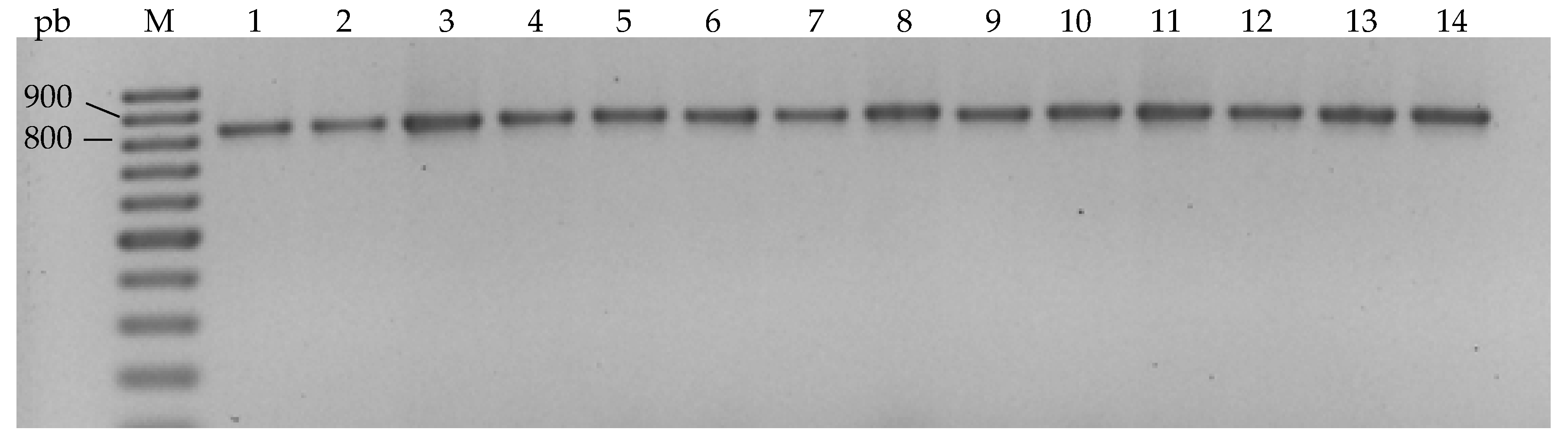 Processes 08 01058 g003 Processes 08 01058 g003