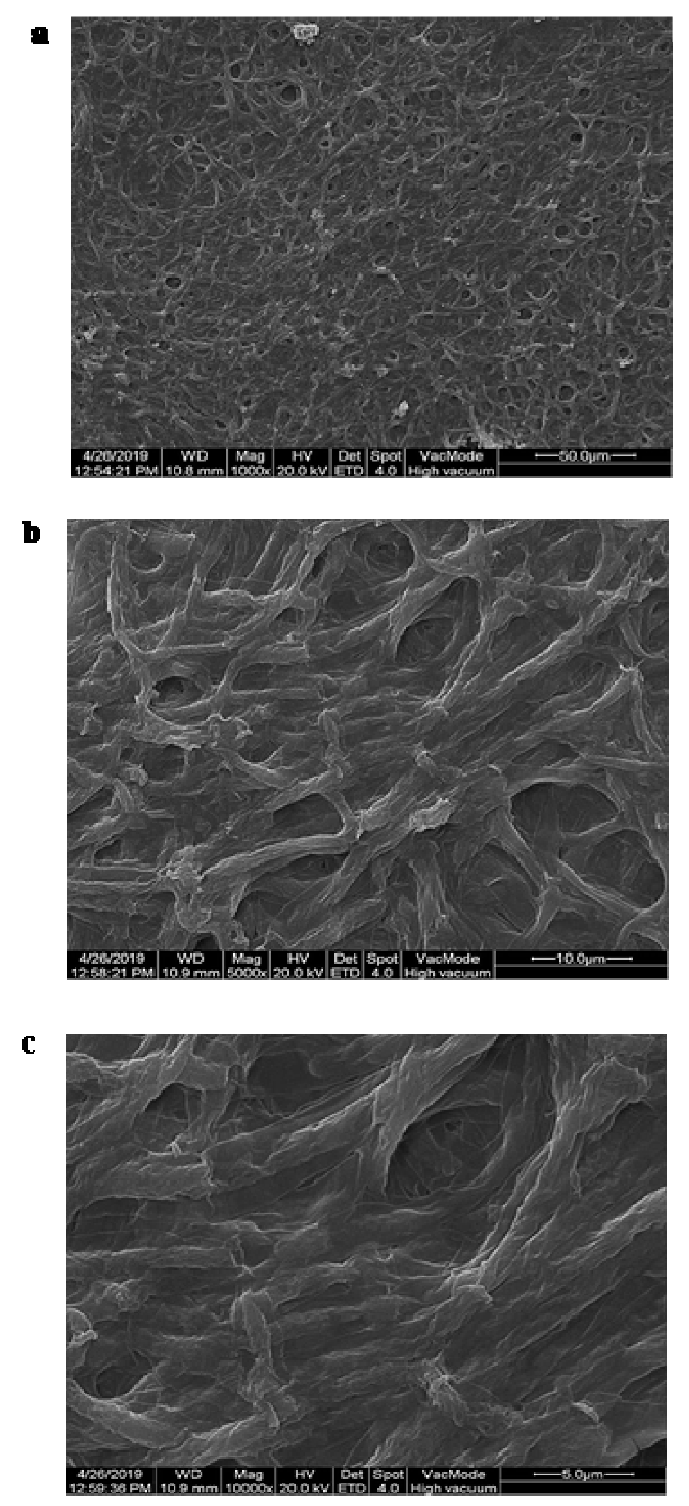 Processes 08 01061 g002