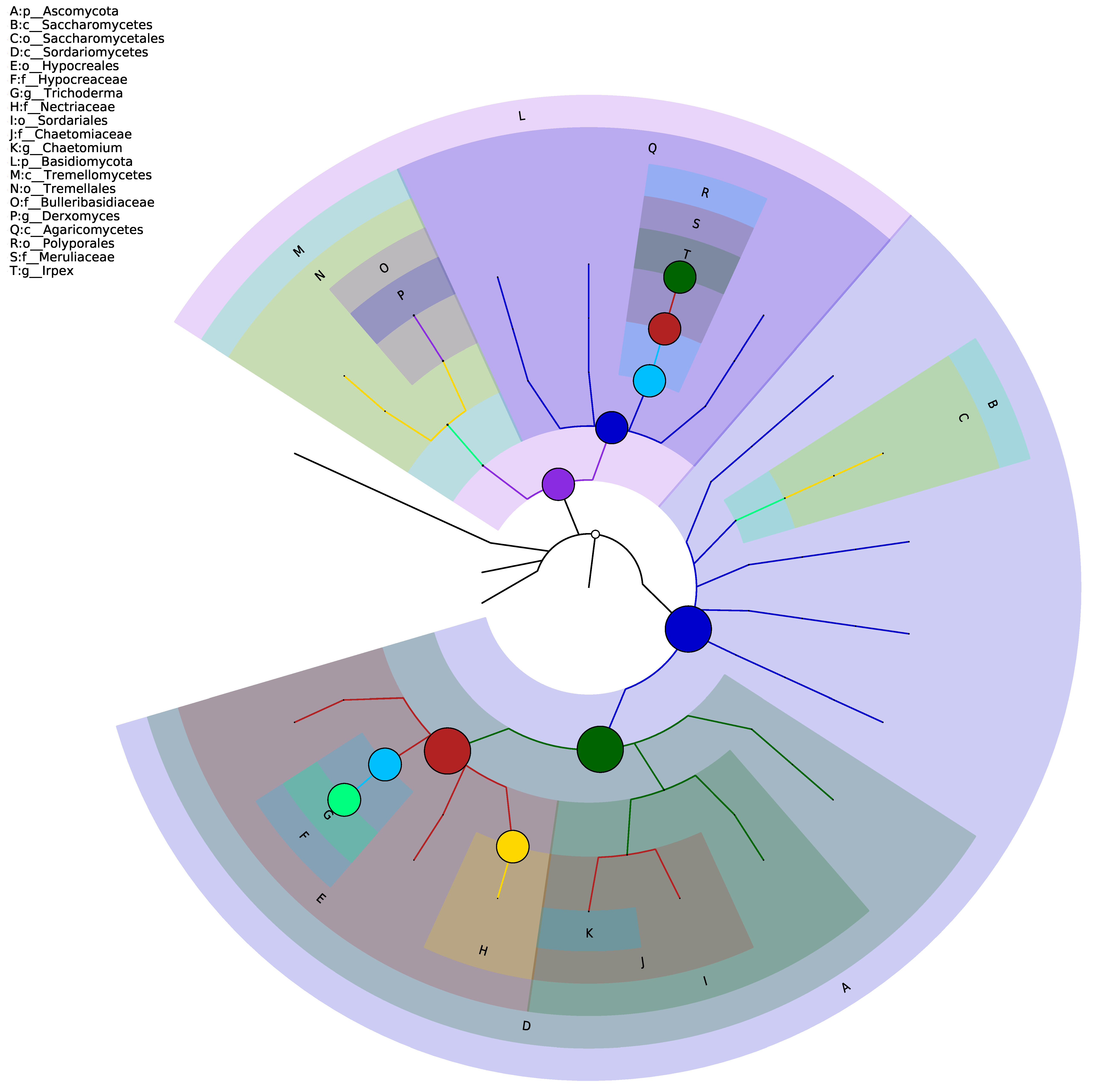 Processes 08 01061 g003