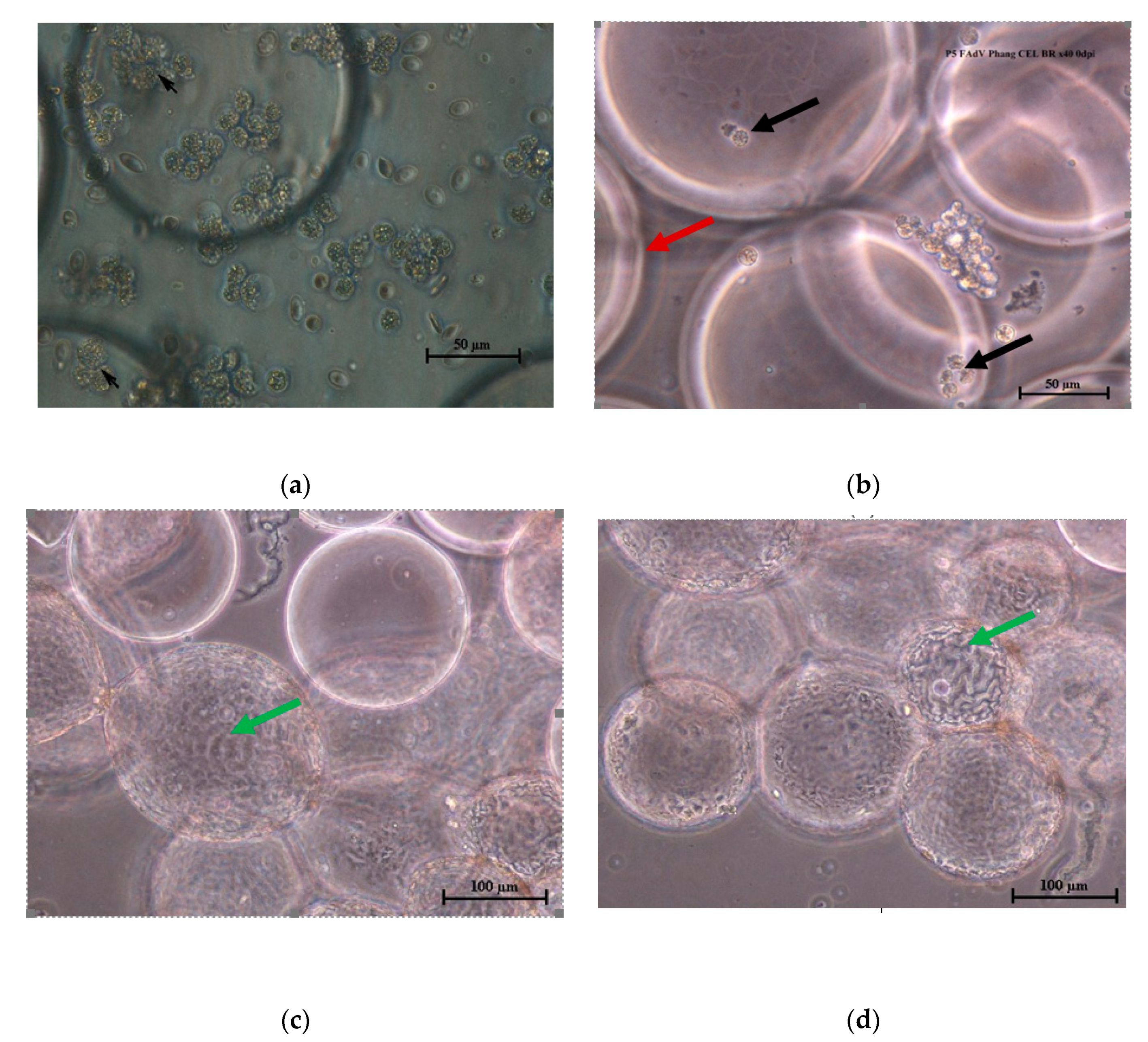 Processes 08 01065 g001