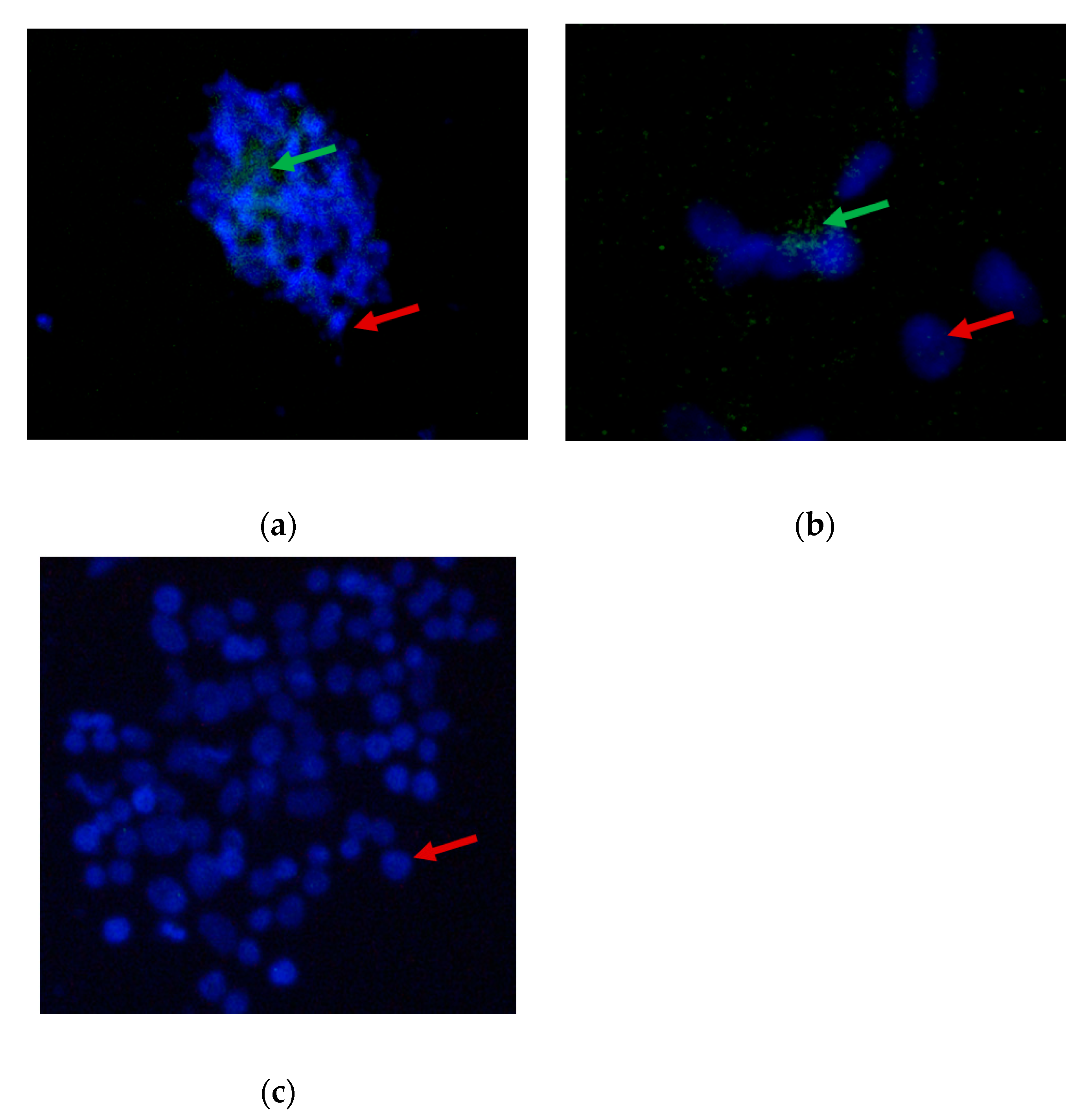 Processes 08 01065 g003