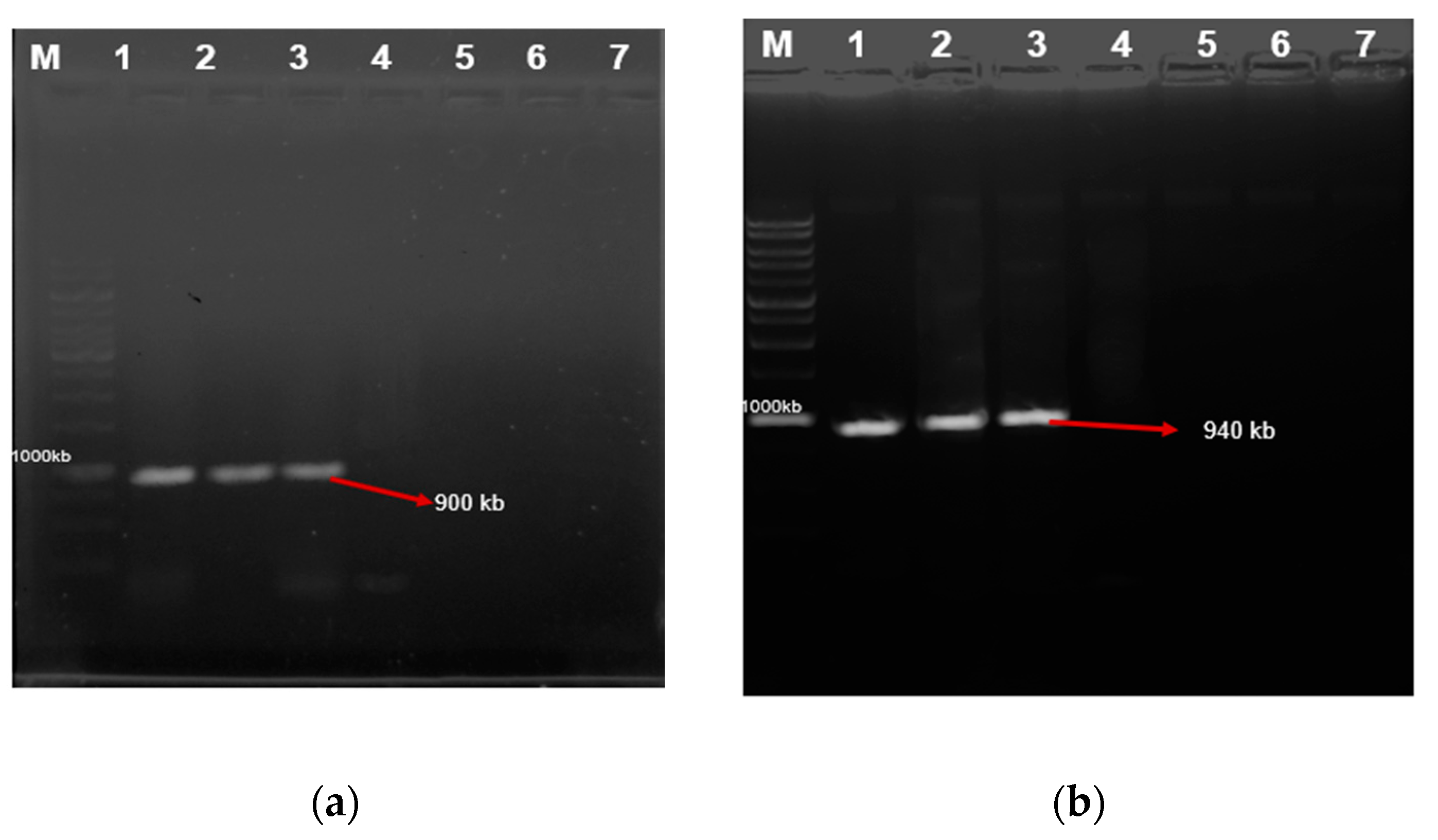 Processes 08 01065 g004
