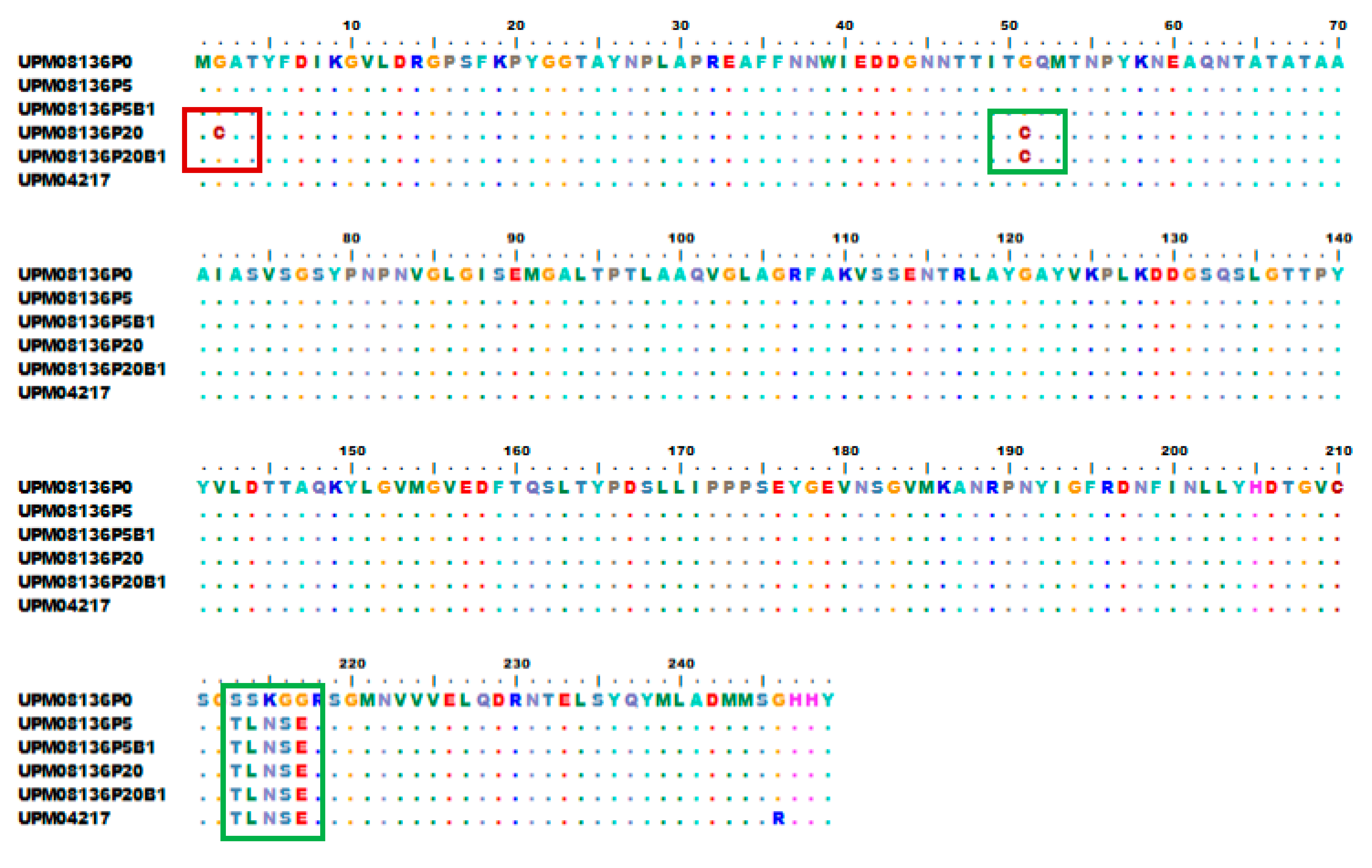 Processes 08 01065 g006