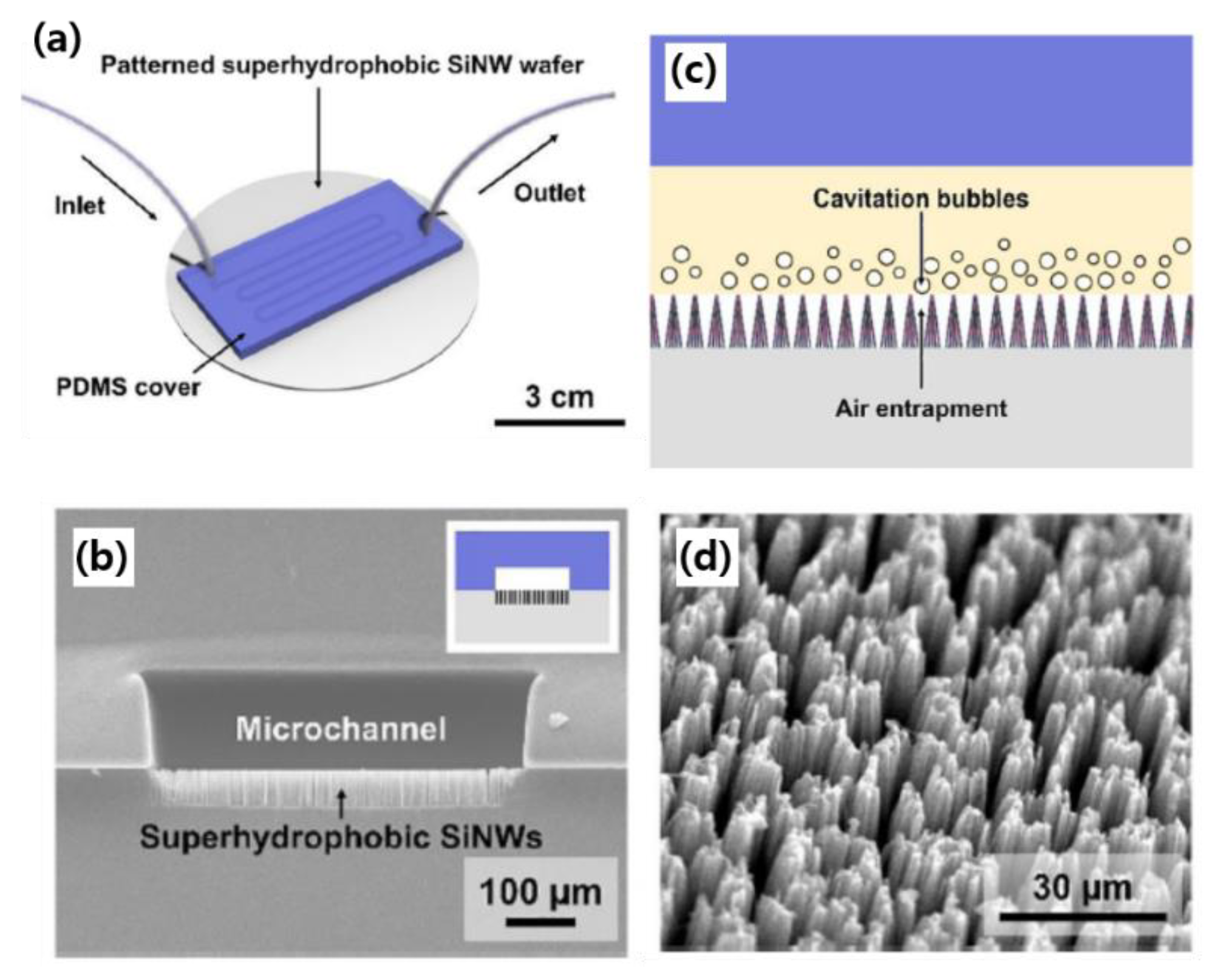 Processes 08 01067 g009 Processes 08 01067 g009