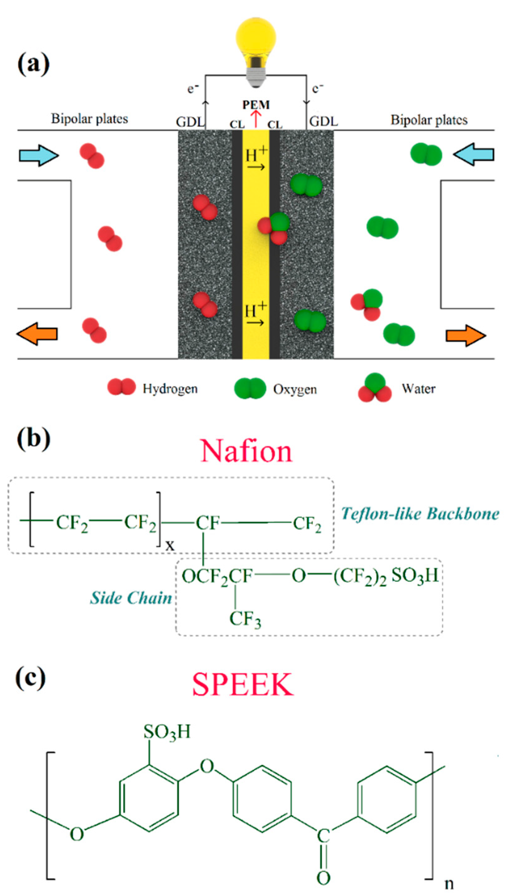 Processes Free FullText SelfHumidifying Proton Exchange Membranes