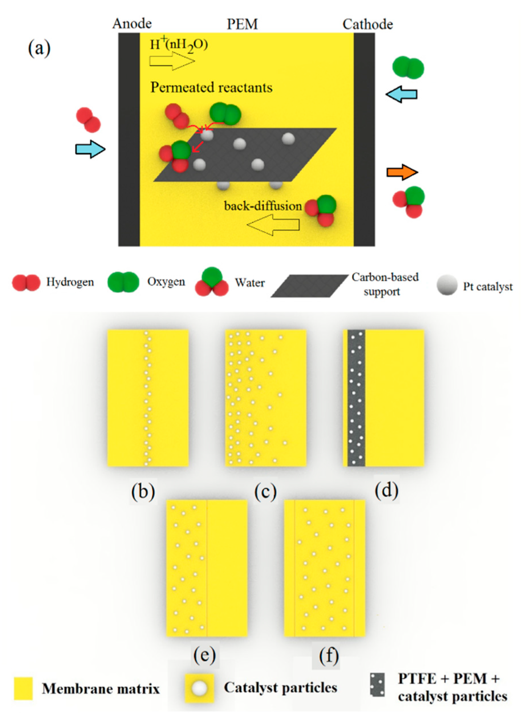 Processes 08 01069 g006