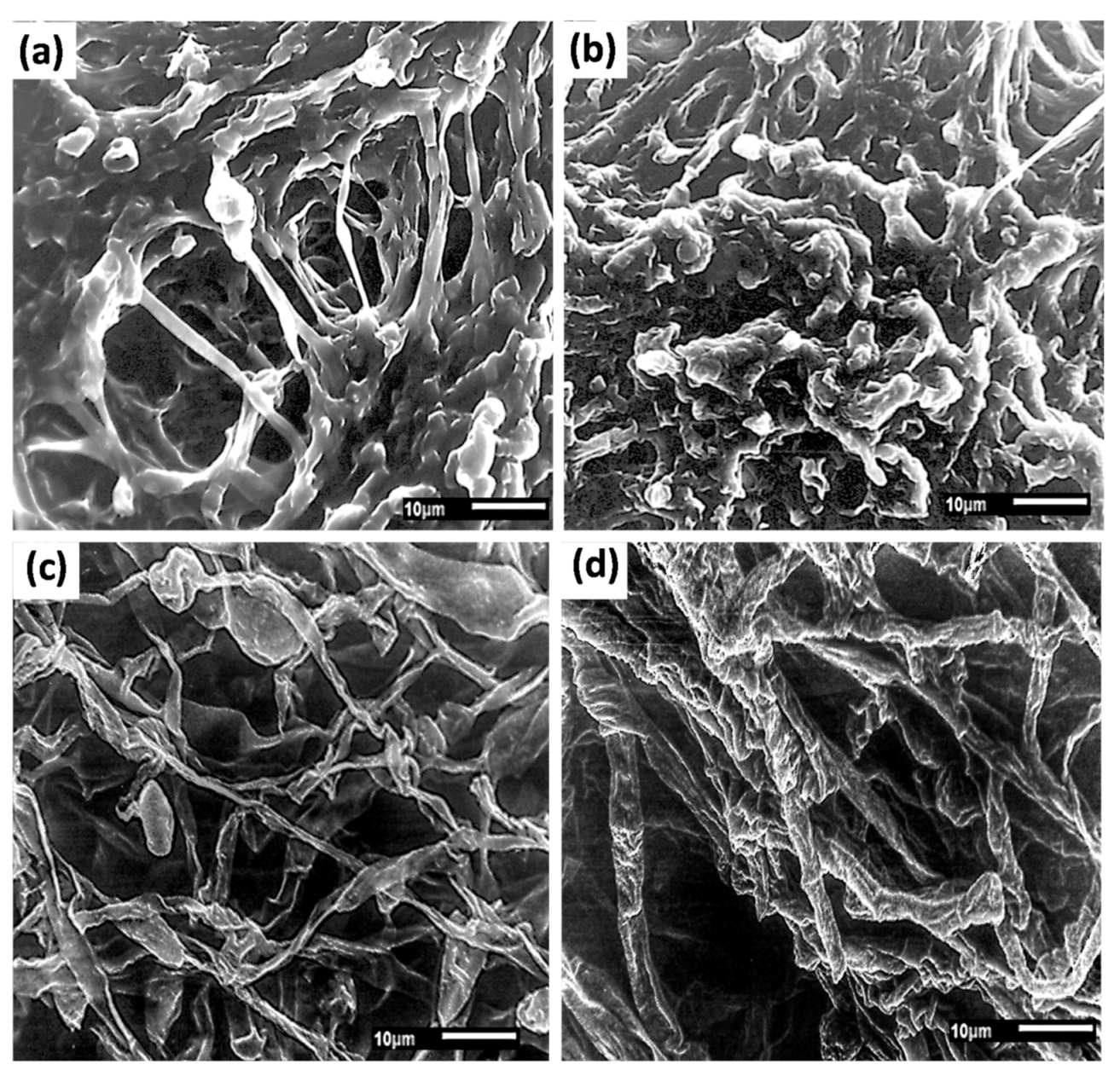 Processes 08 01085 g003