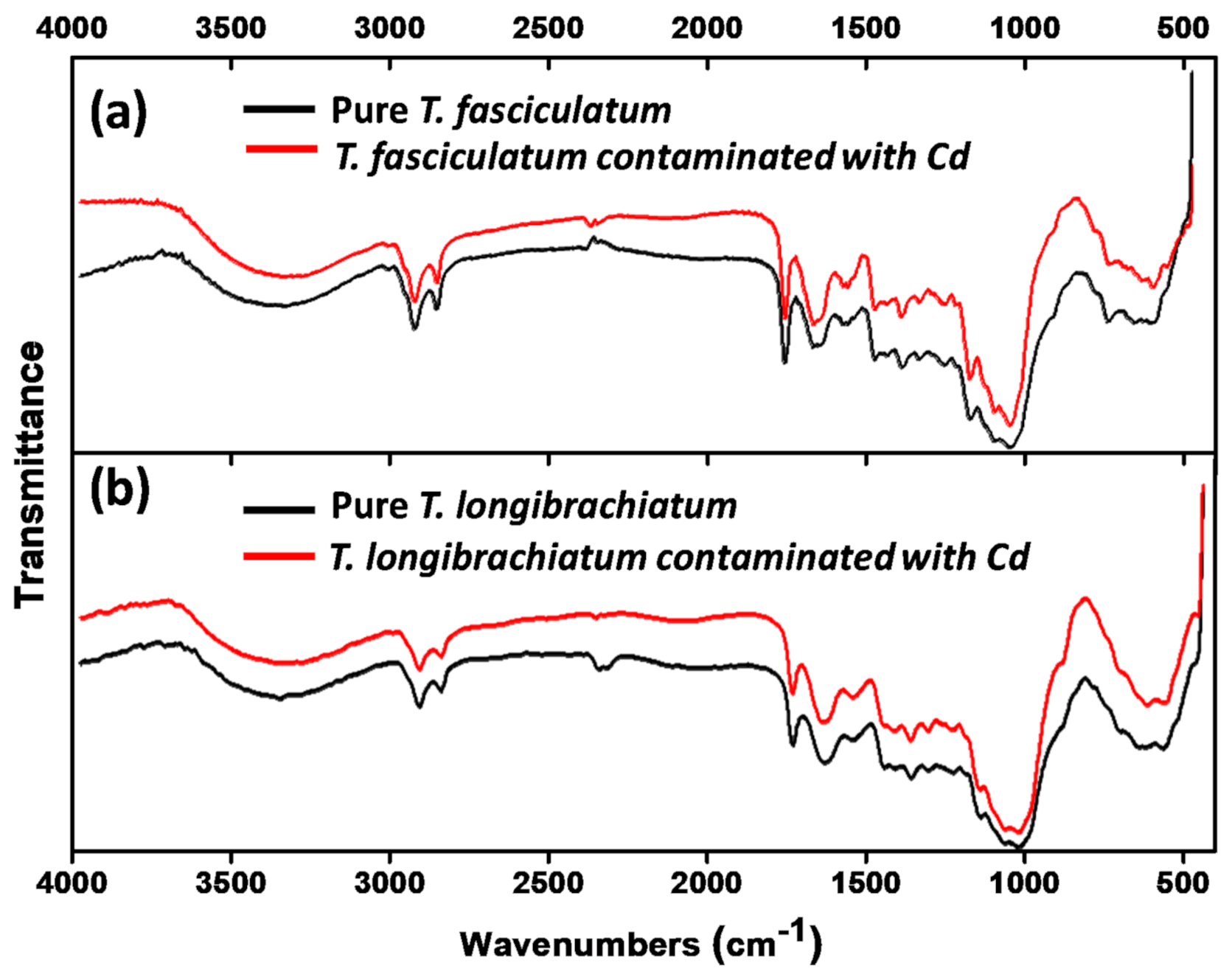 Processes 08 01085 g004