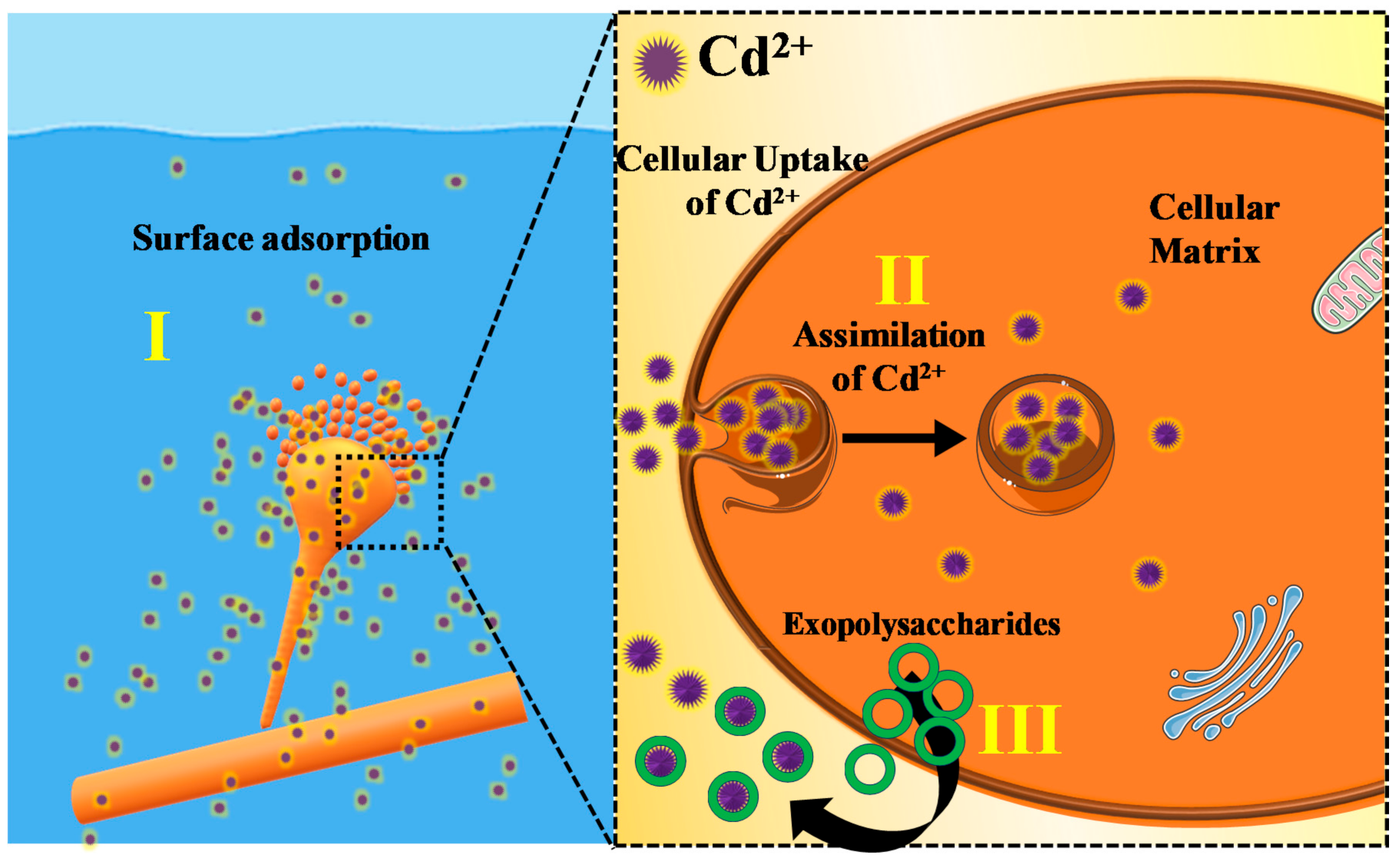 Processes 08 01085 g005