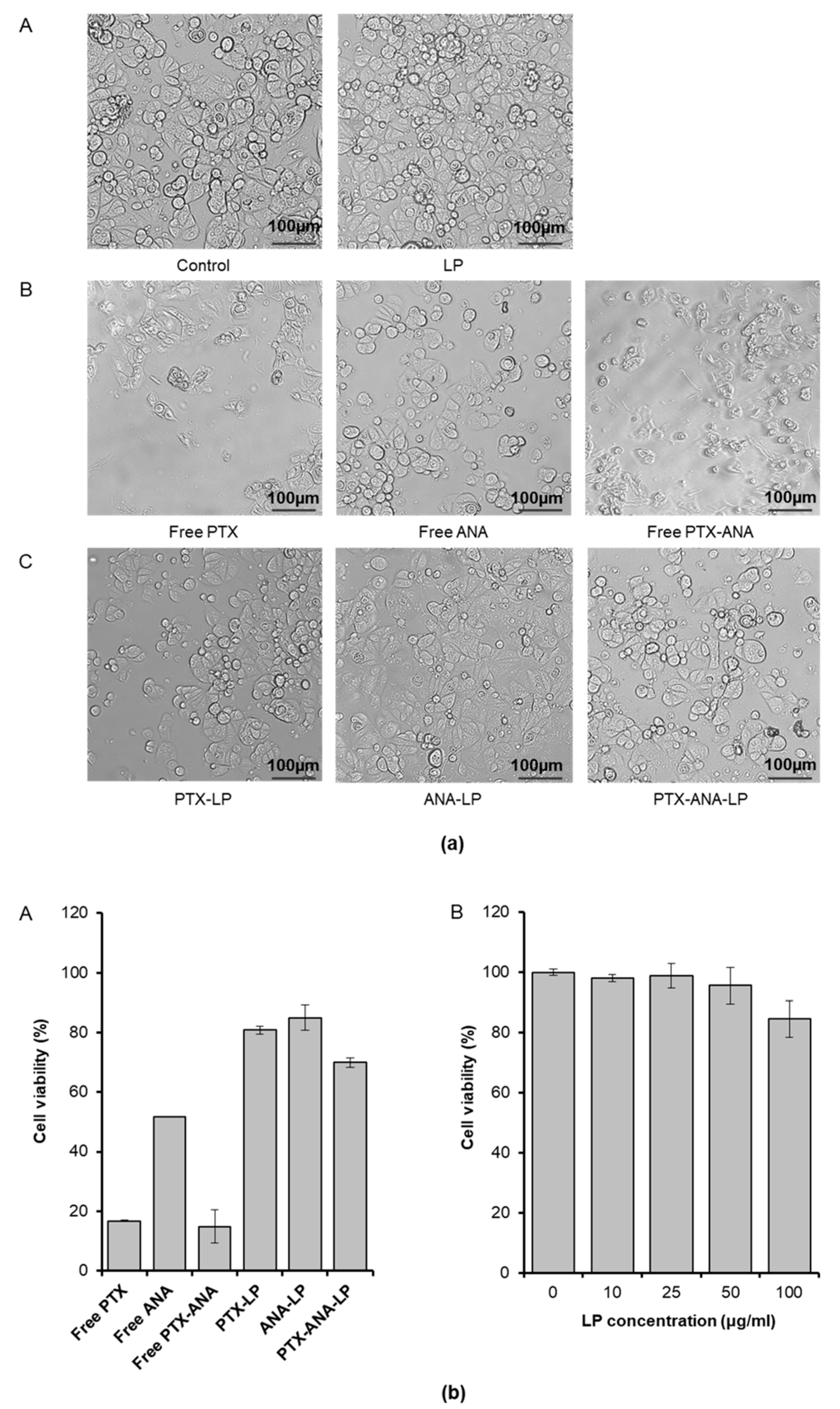 Processes 08 01110 g004 Processes 08 01110 g004
