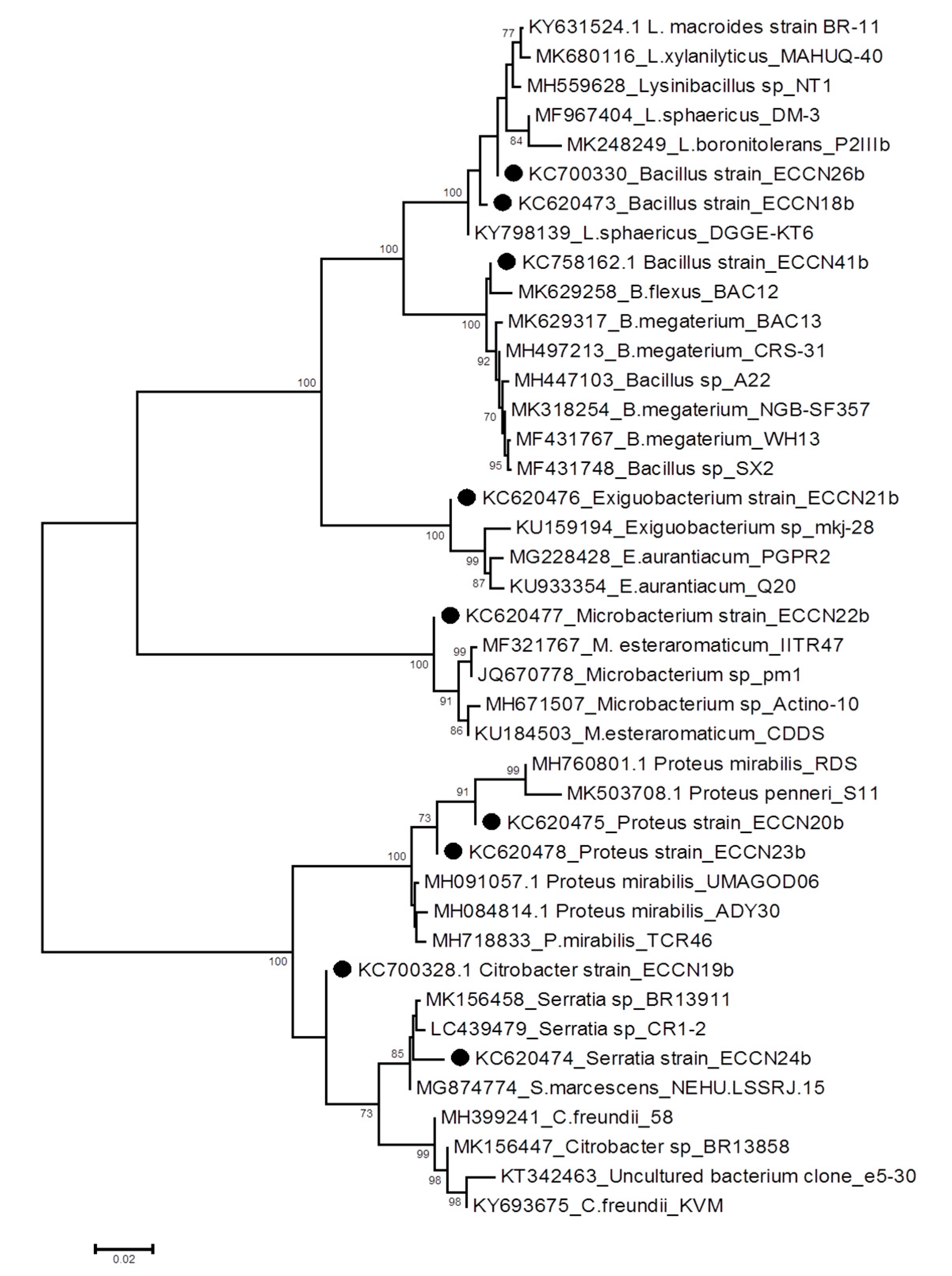 Processes 08 01111 g001 Processes 08 01111 g001