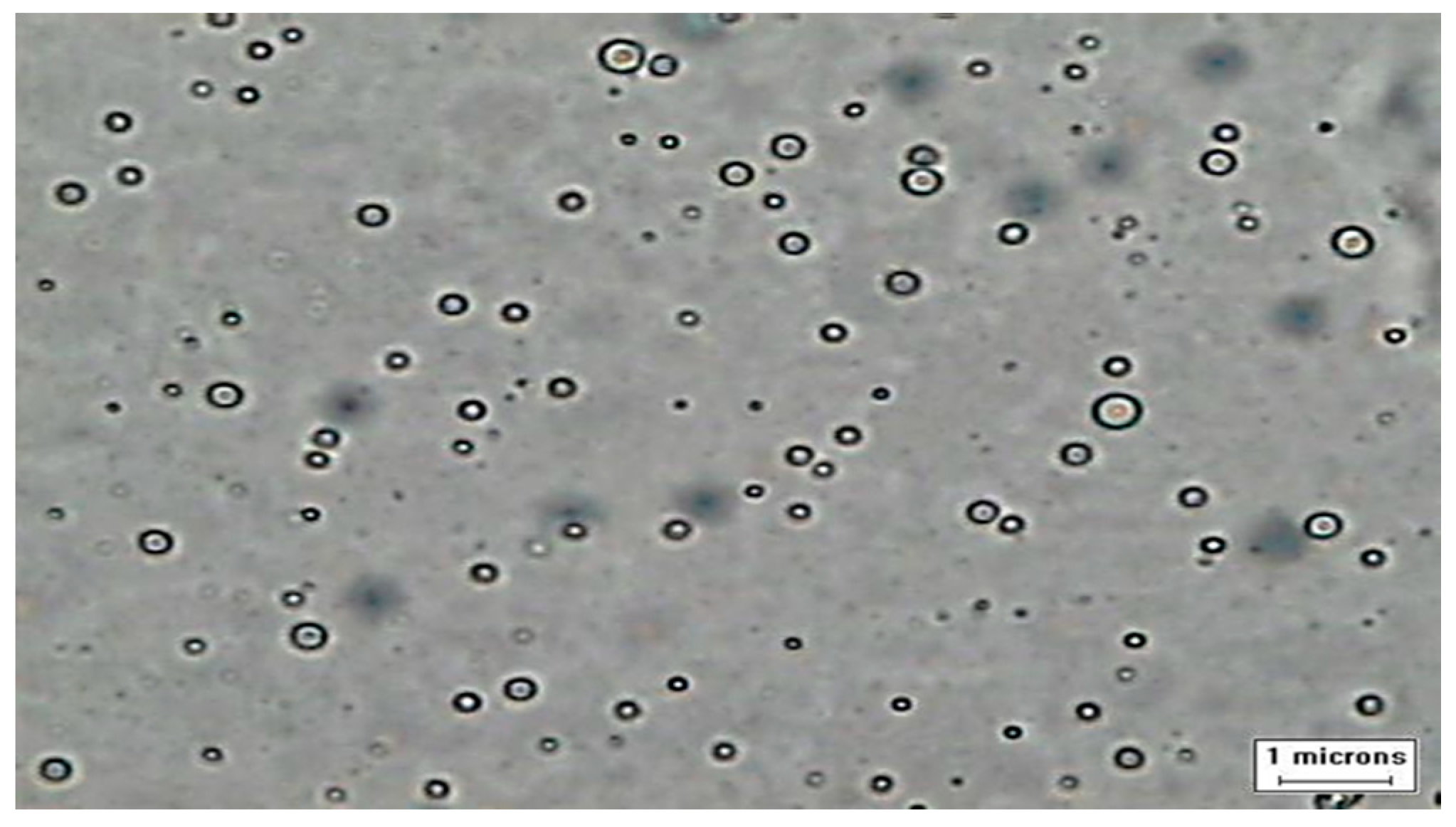 Processes 08 01130 g001 Processes 08 01130 g001