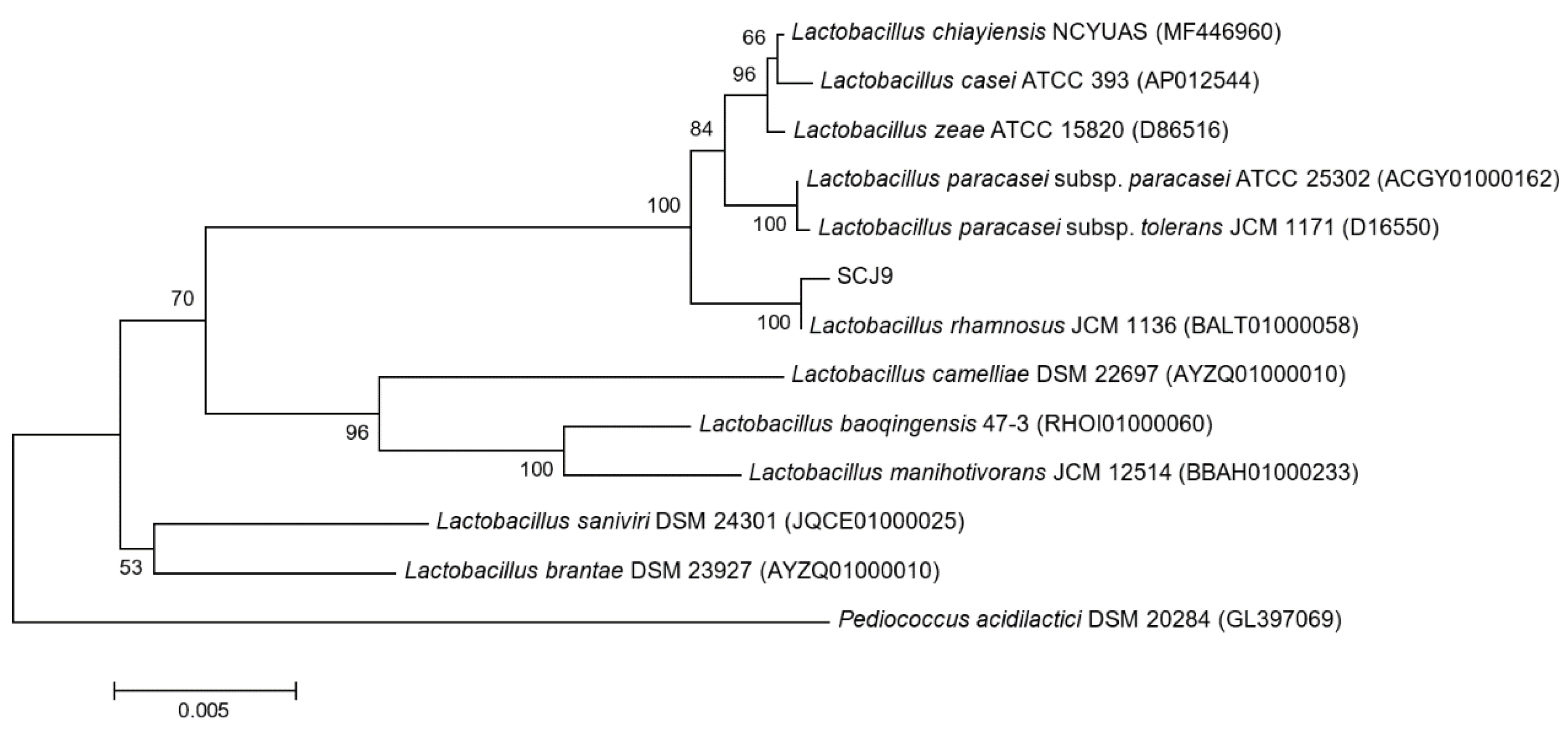 Processes 08 01143 g001 Processes 08 01143 g001