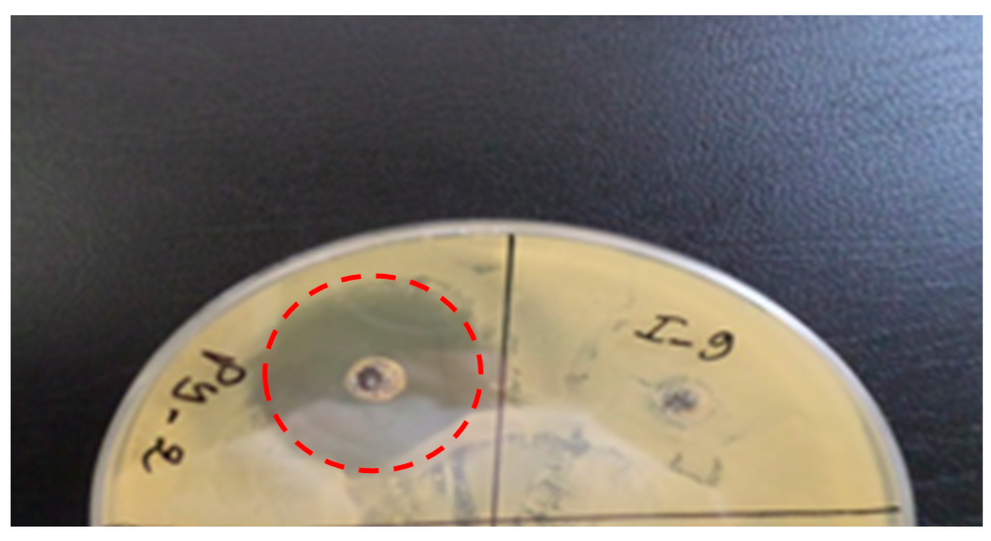 Processes 08 01163 g001