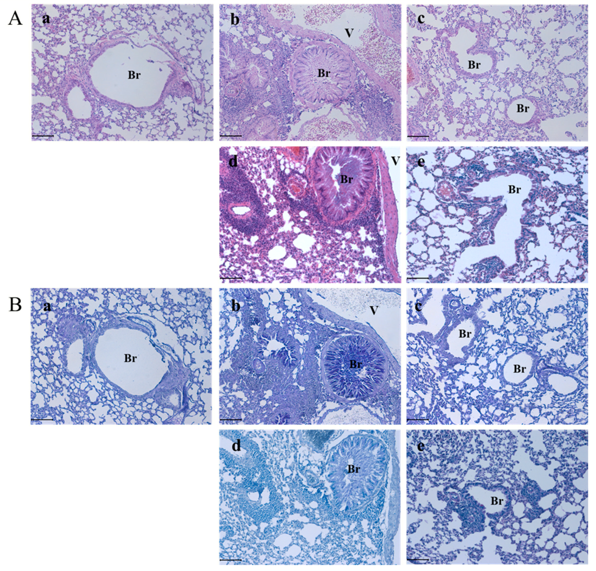 Processes 08 01167 g003