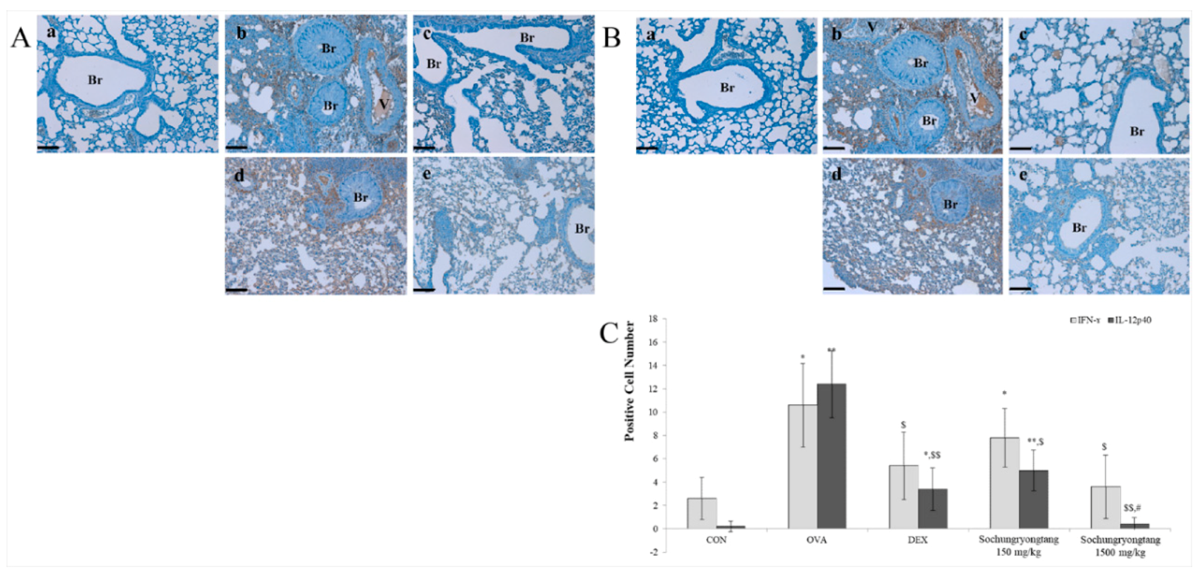 Processes 08 01167 g005