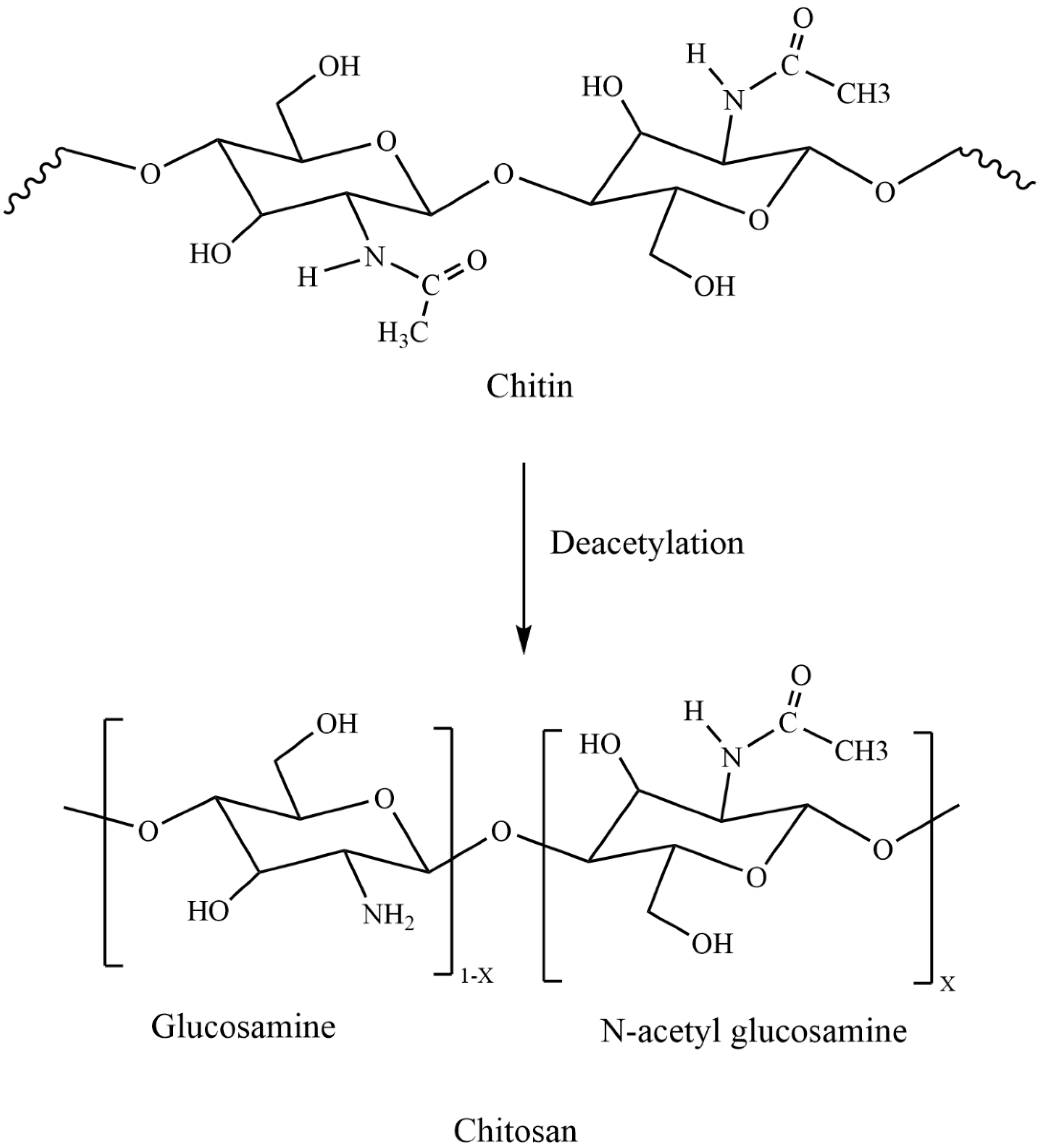 Processes free full text antibacterial activity of chitosan