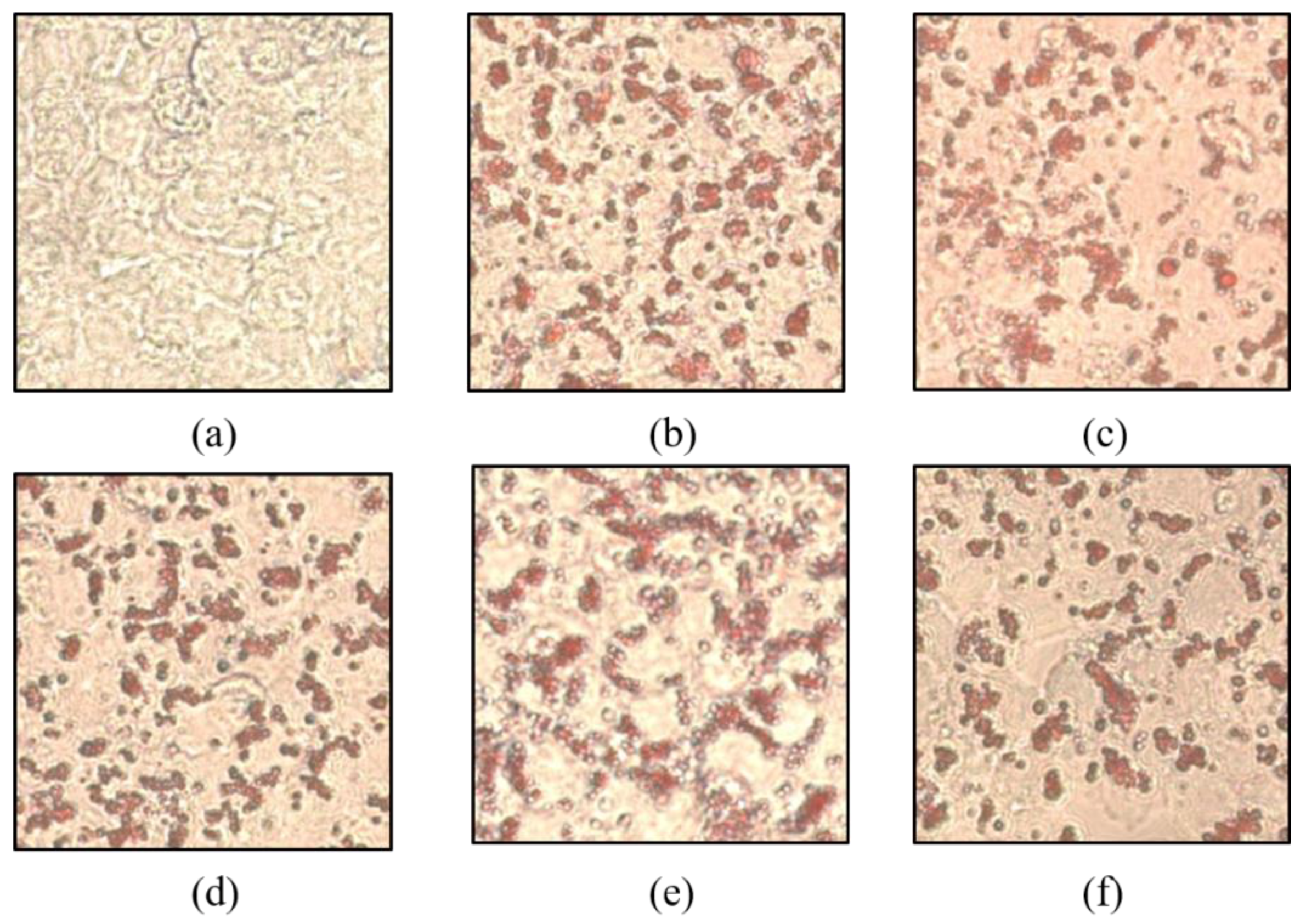 Processes 08 01191 g003 Processes 08 01191 g003