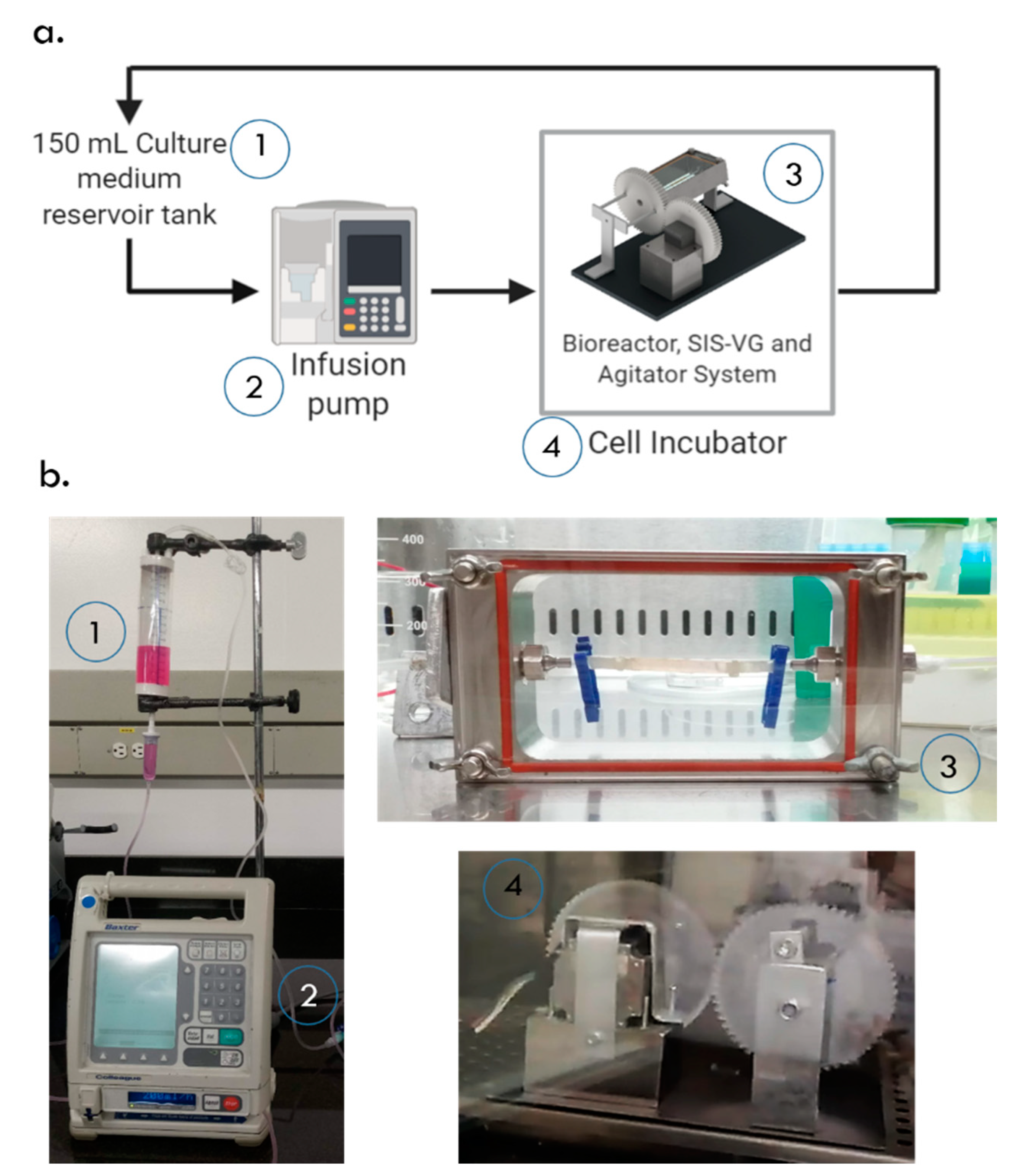 Processes 08 01198 g003 Processes 08 01198 g003