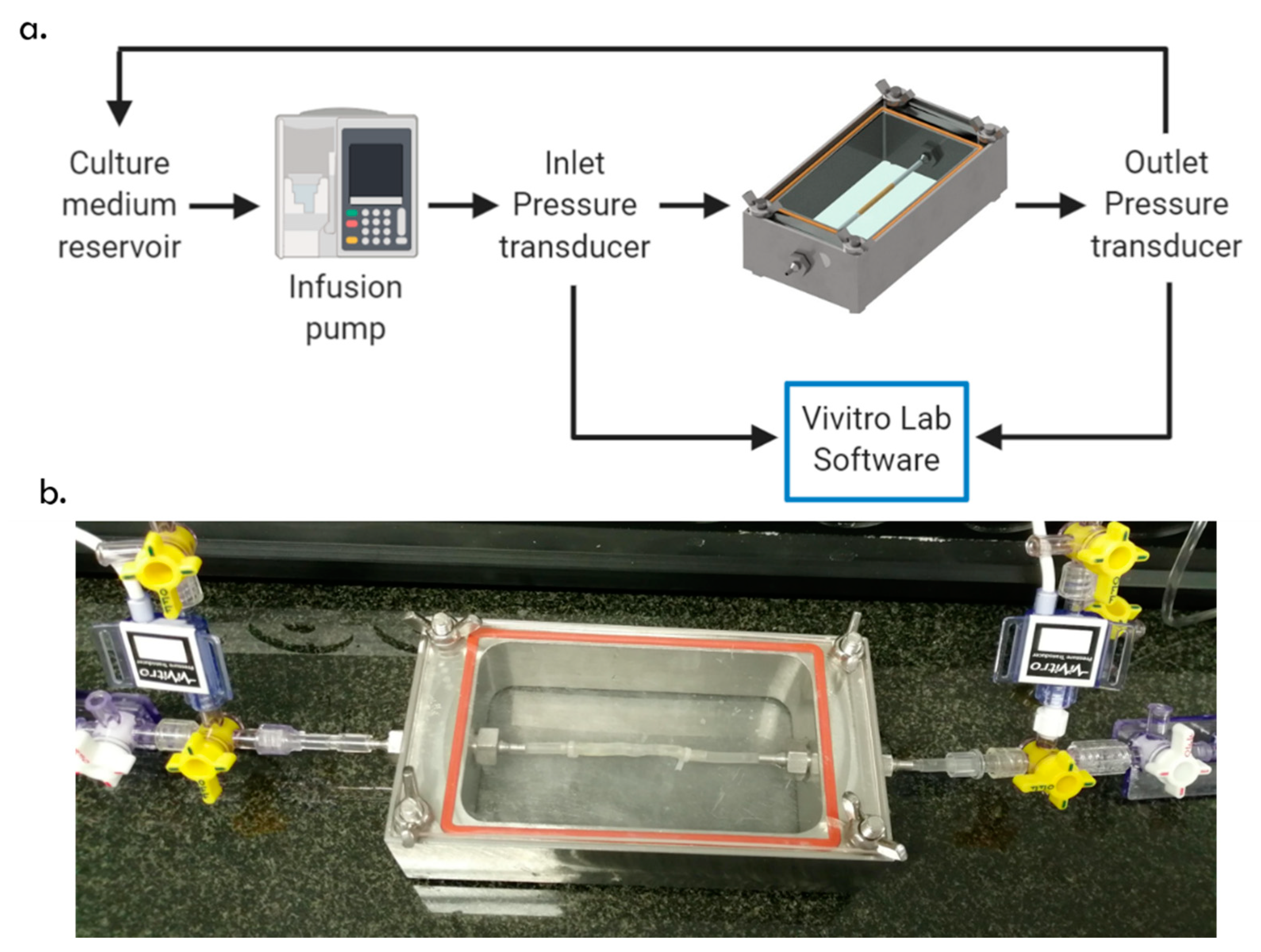 Processes 08 01198 g004 Processes 08 01198 g004