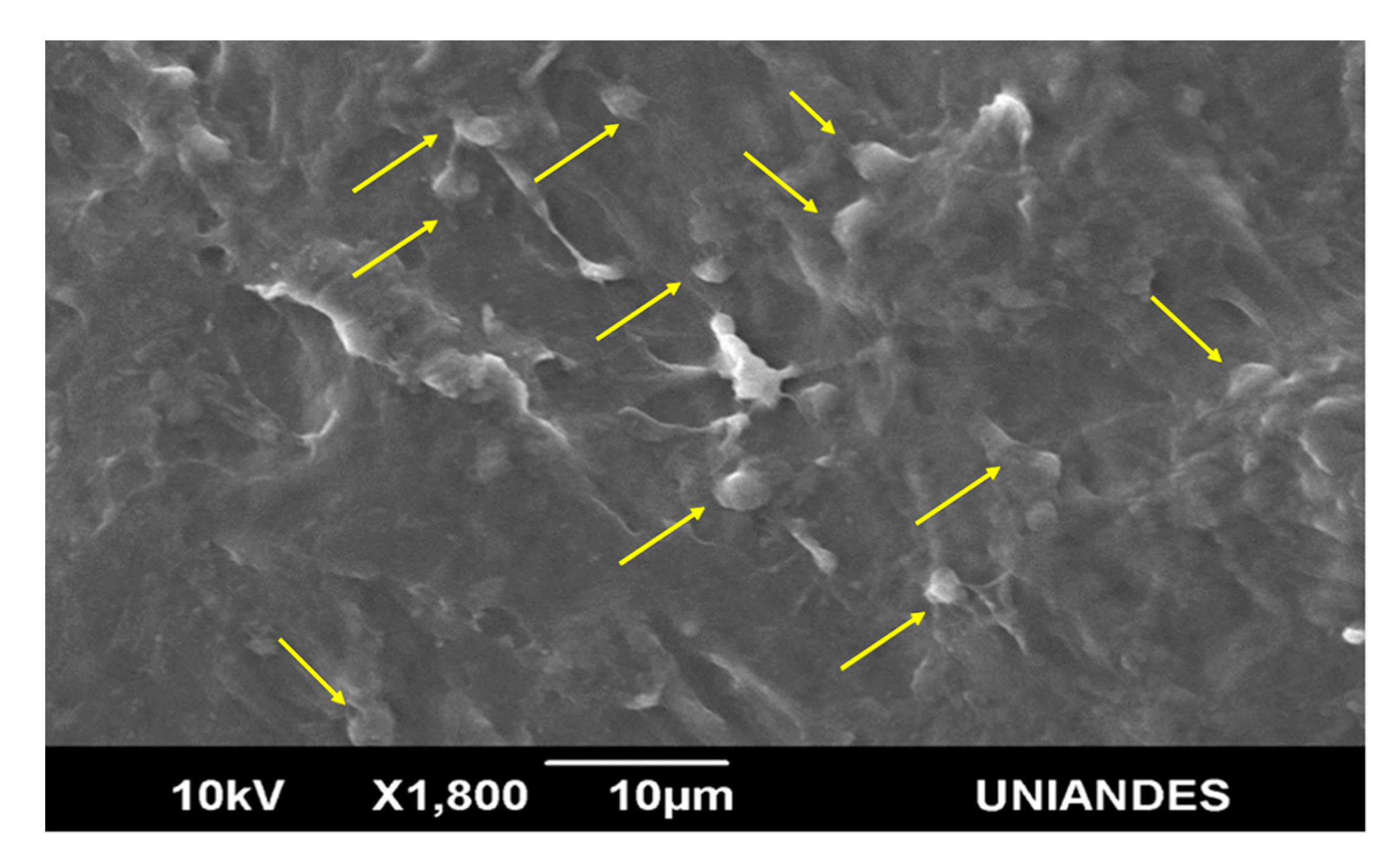 Processes 08 01198 g019 Processes 08 01198 g019