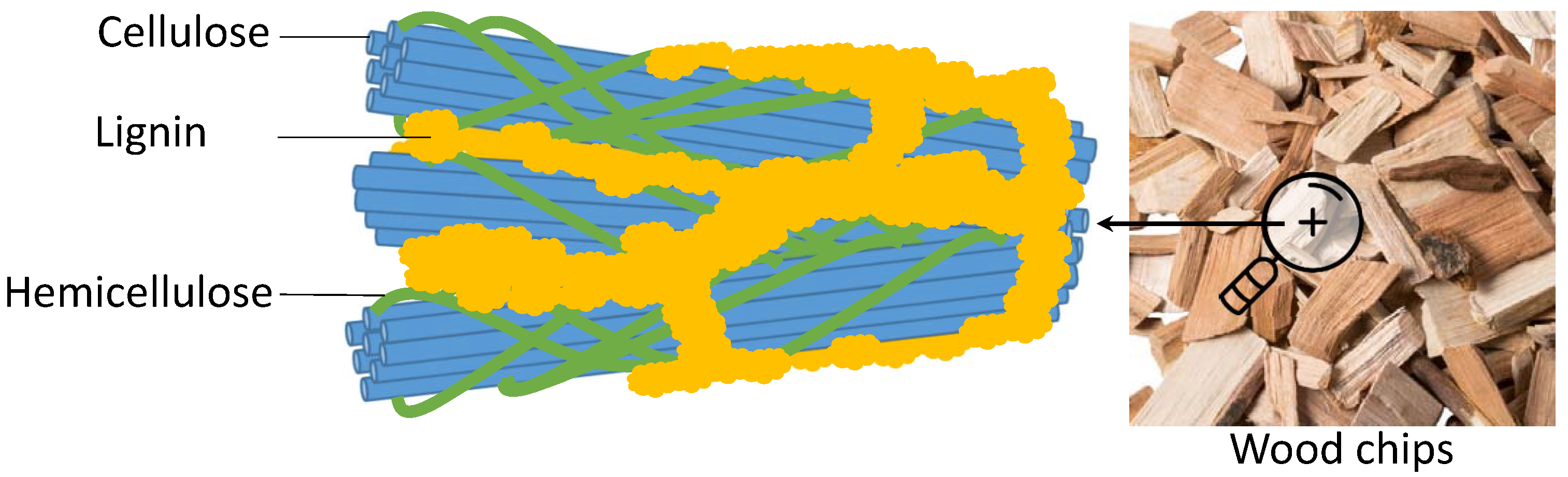 Processes 08 01231 g002 Processes 08 01231 g002