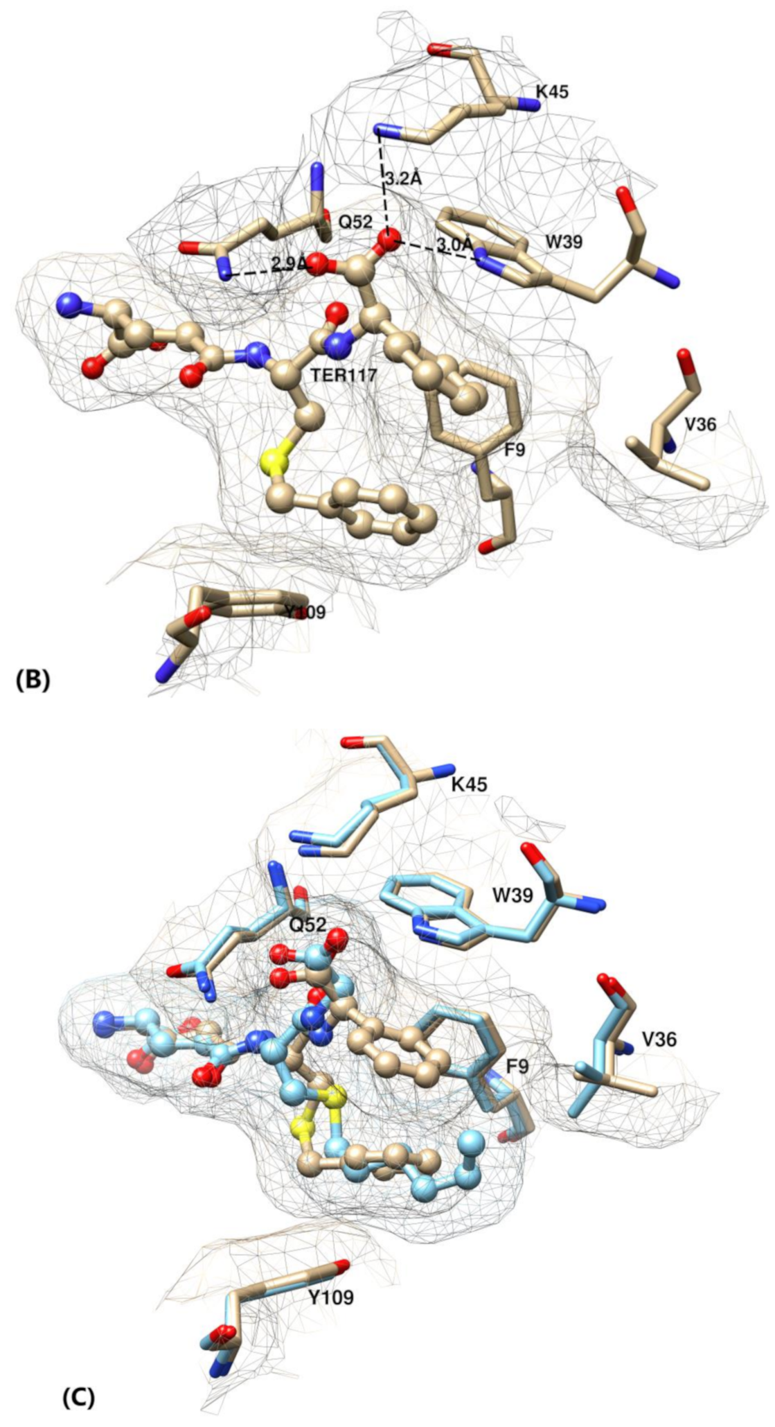 Processes 08 01232 g002b Processes 08 01232 g002b