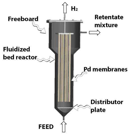 Processes Free FullText Latest Developments in Membrane (Bio)Reactors