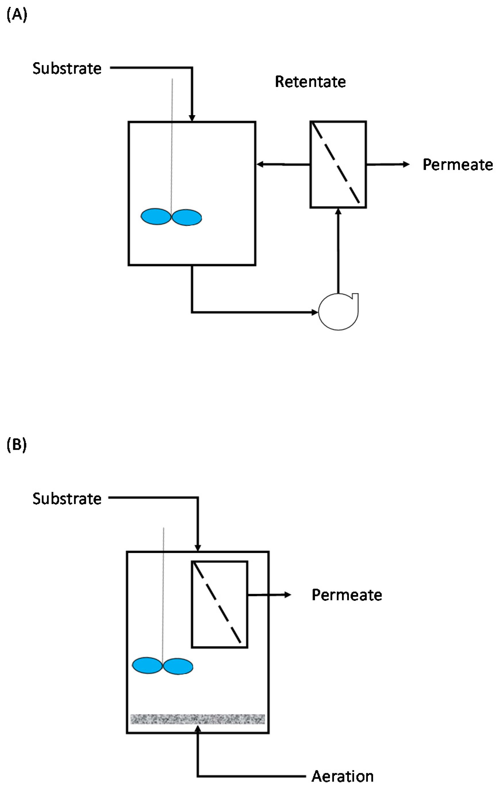 Processes Free Full Text Latest Developments In Membrane Bio Reactors Html Processes Free Full Text Latest Developments In Membrane Bio Reactors Html