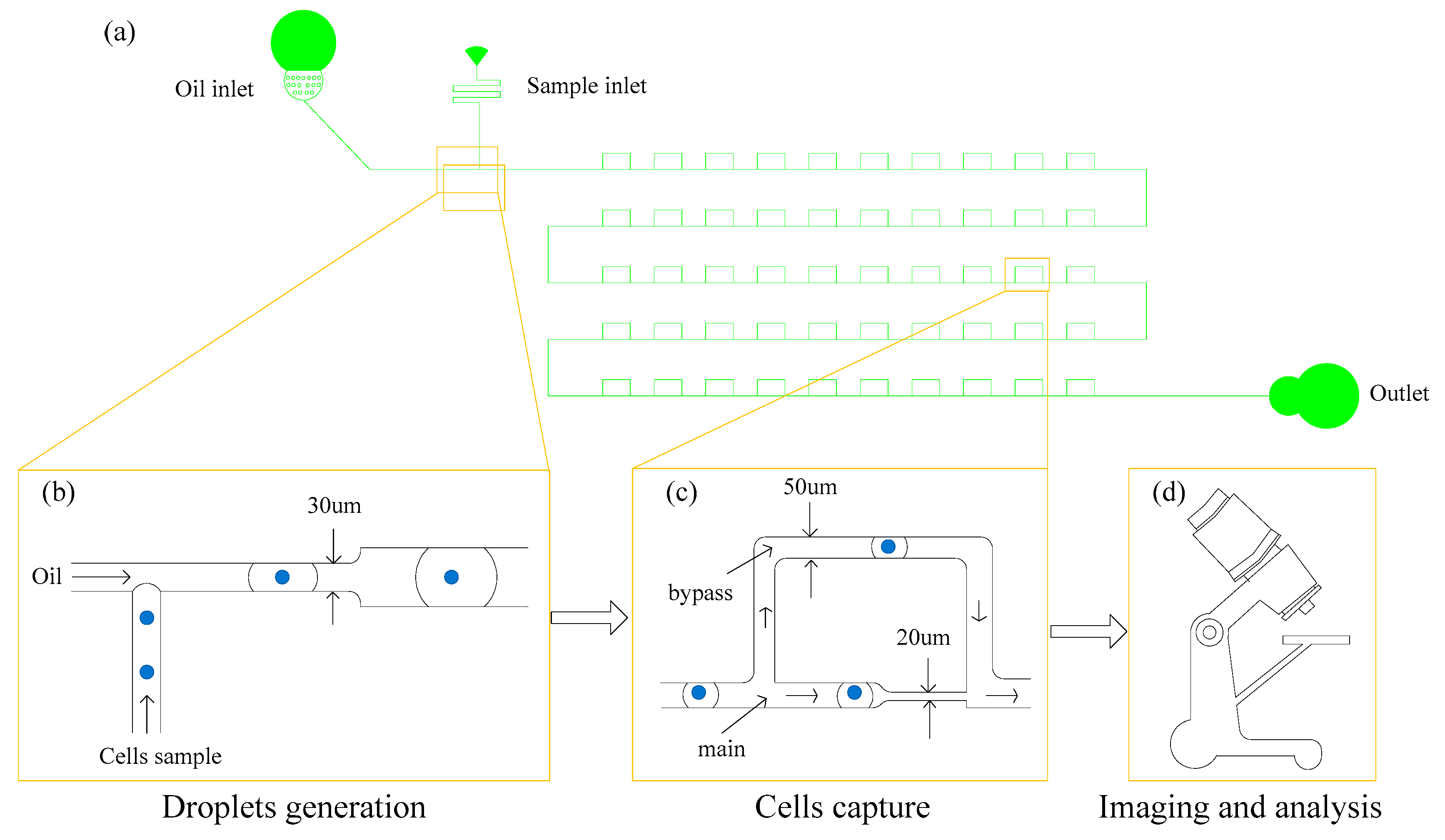 Processes 08 01253 g003