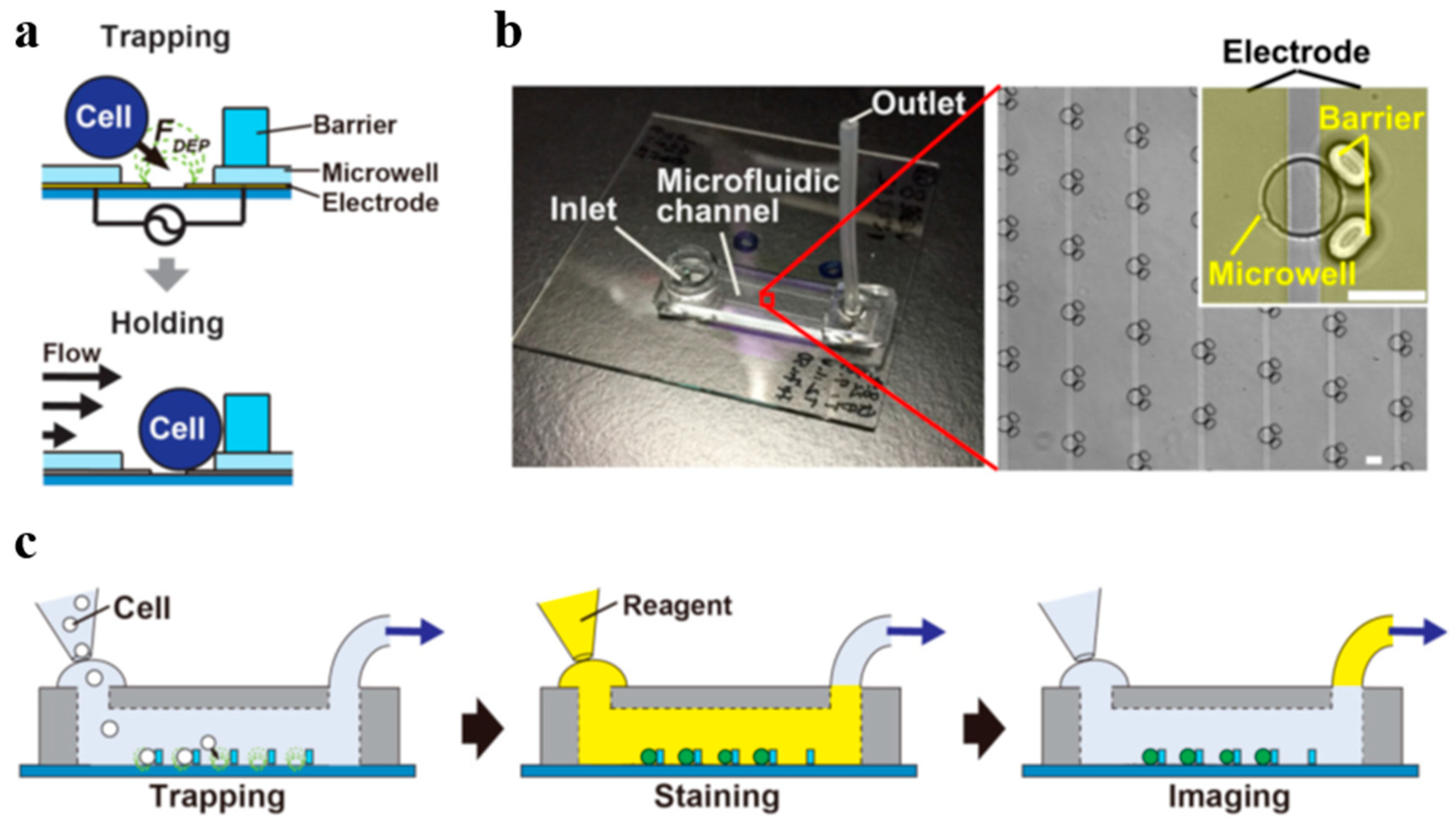 Processes 08 01253 g007
