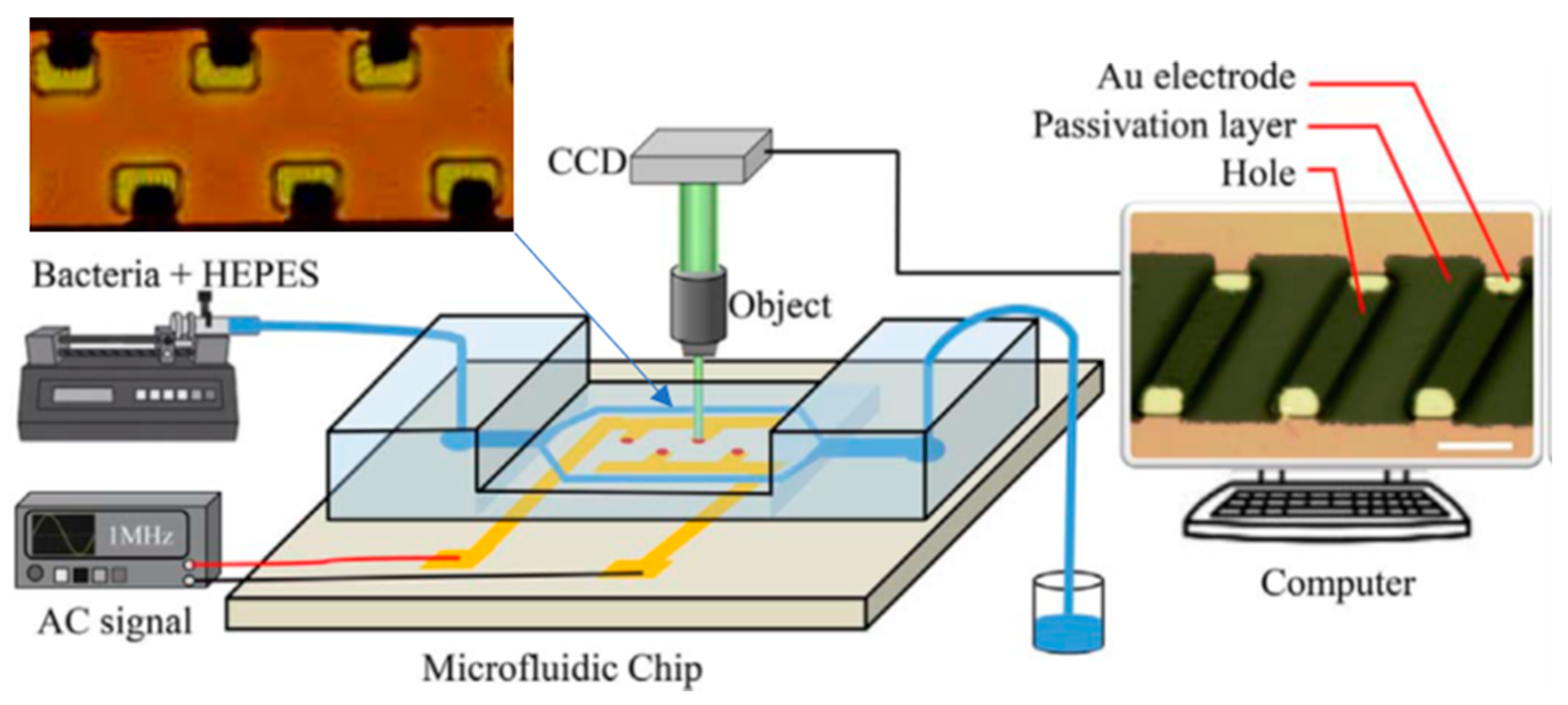 Processes 08 01253 g009