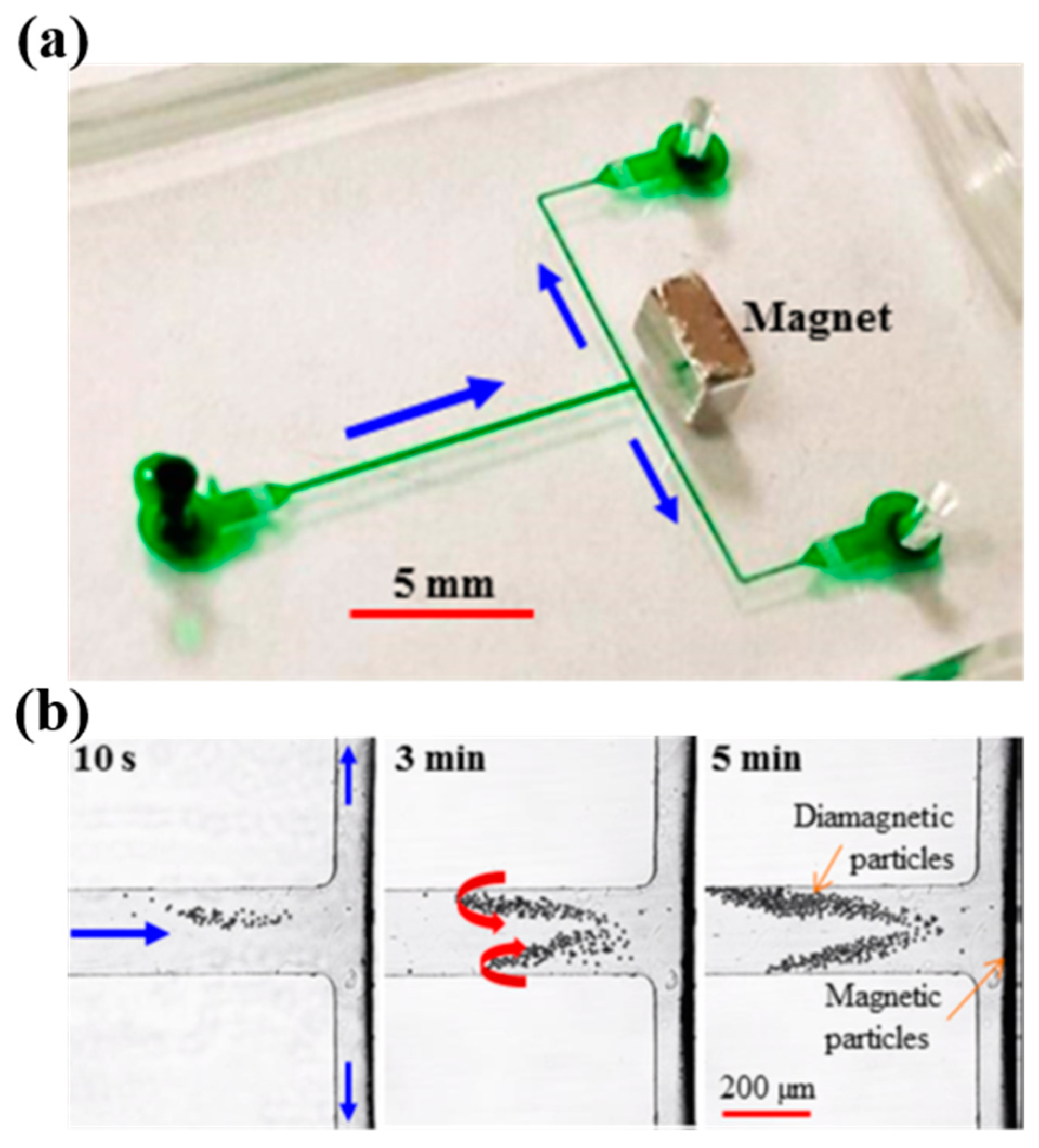 Processes 08 01253 g015