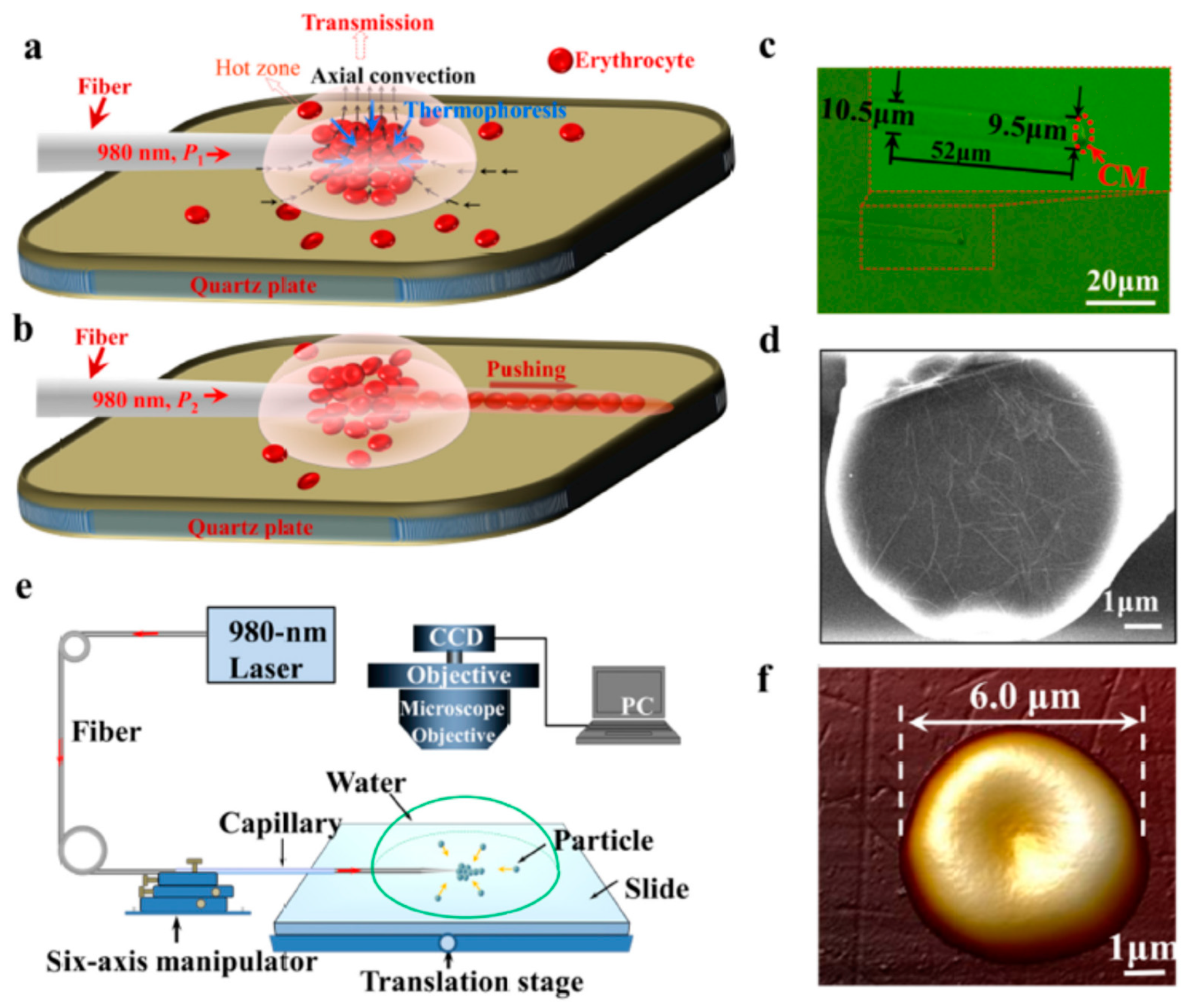 Processes 08 01253 g018