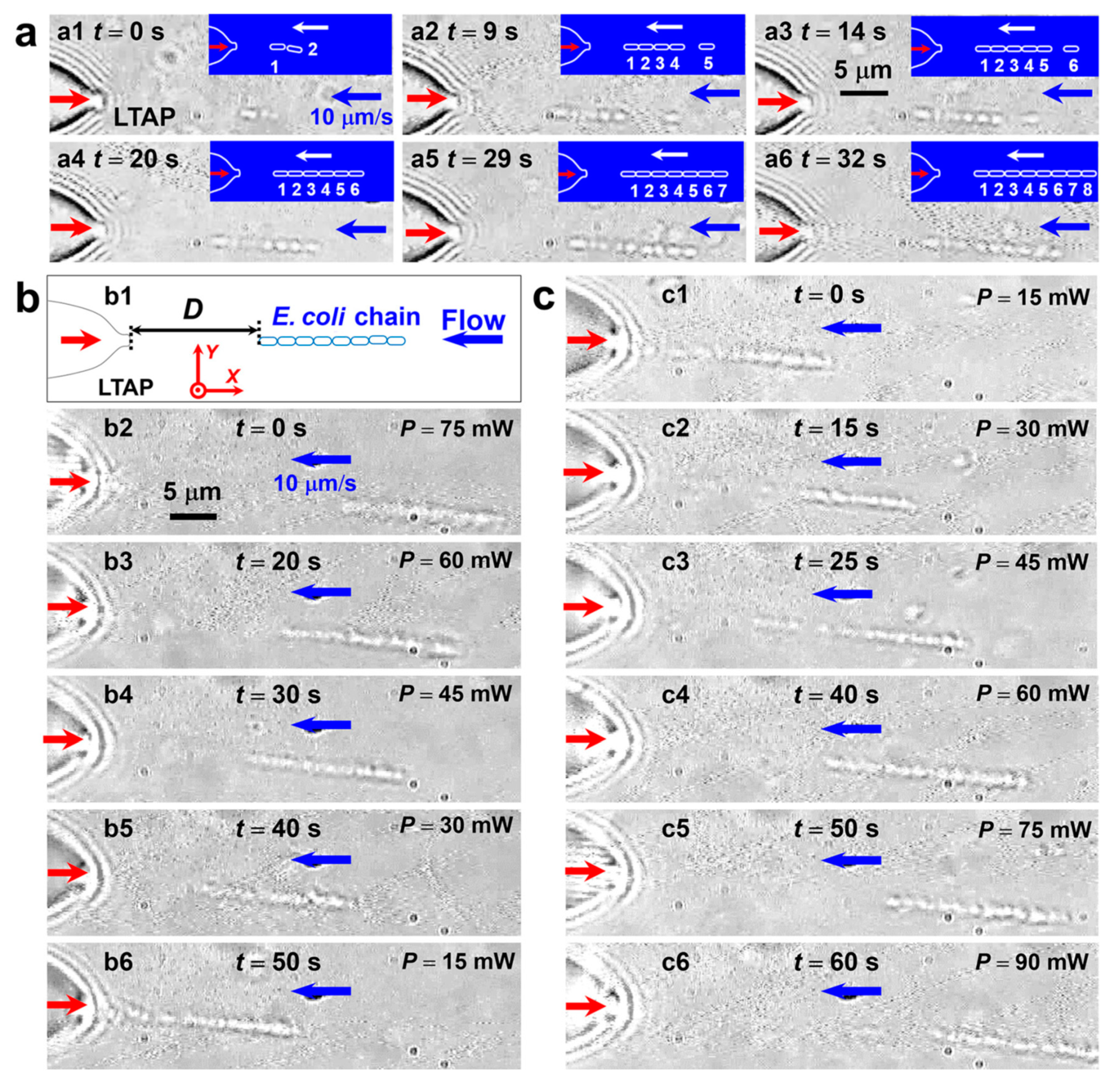 Processes 08 01253 g023