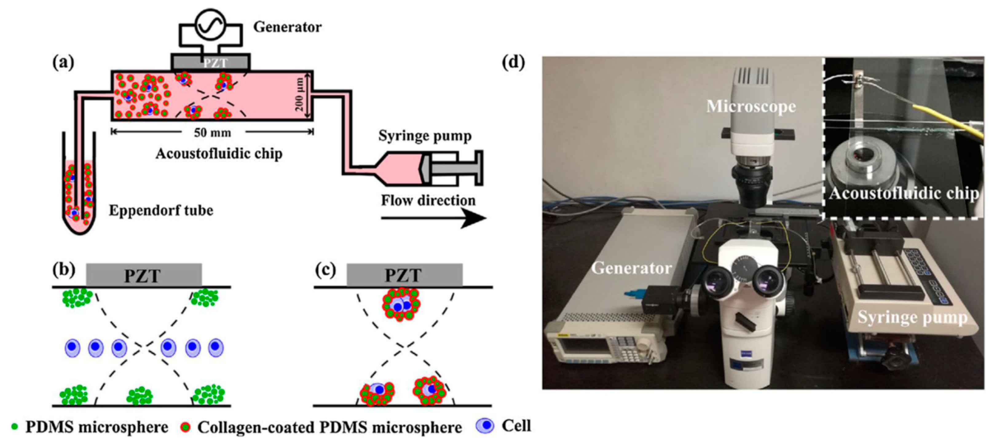 Processes 08 01253 g025
